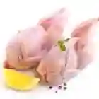 Гушти будана