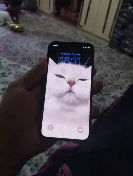 IPhone 12
