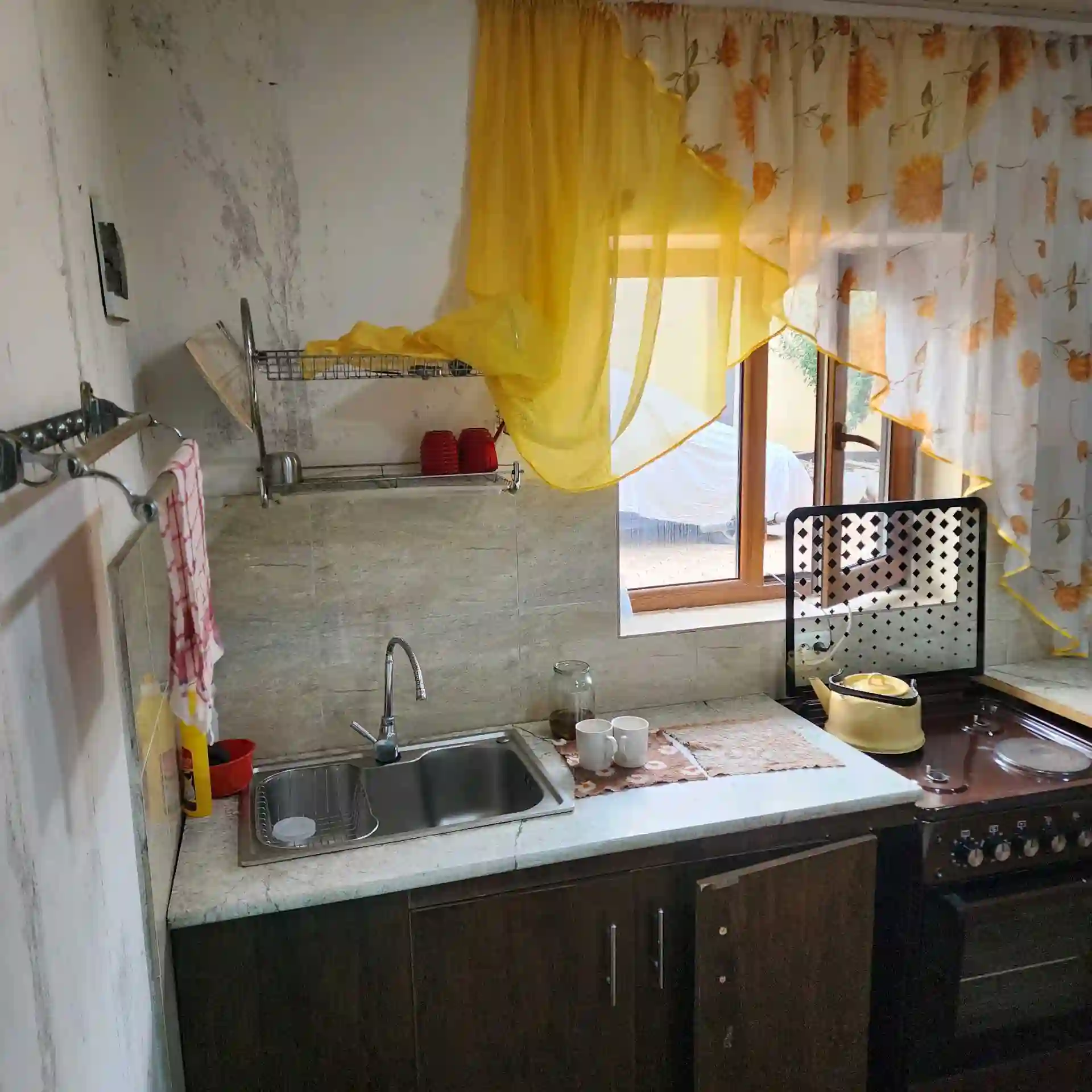 1 этажный, 5-комн. дом, 300 м², 3 соток, РУДАКИ