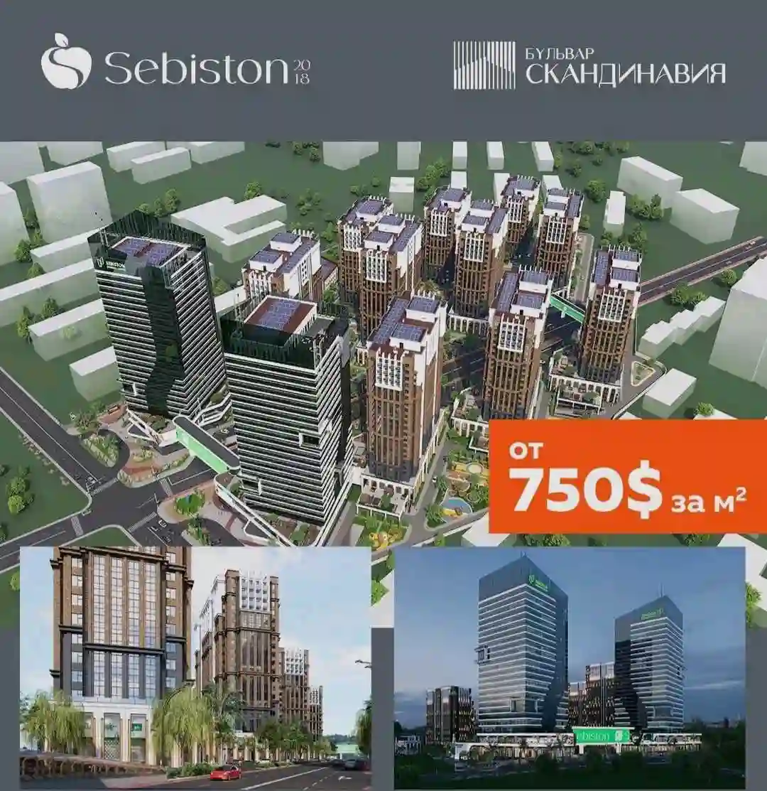 5-к квартира, 11 этаж, 255.7 м², Сино