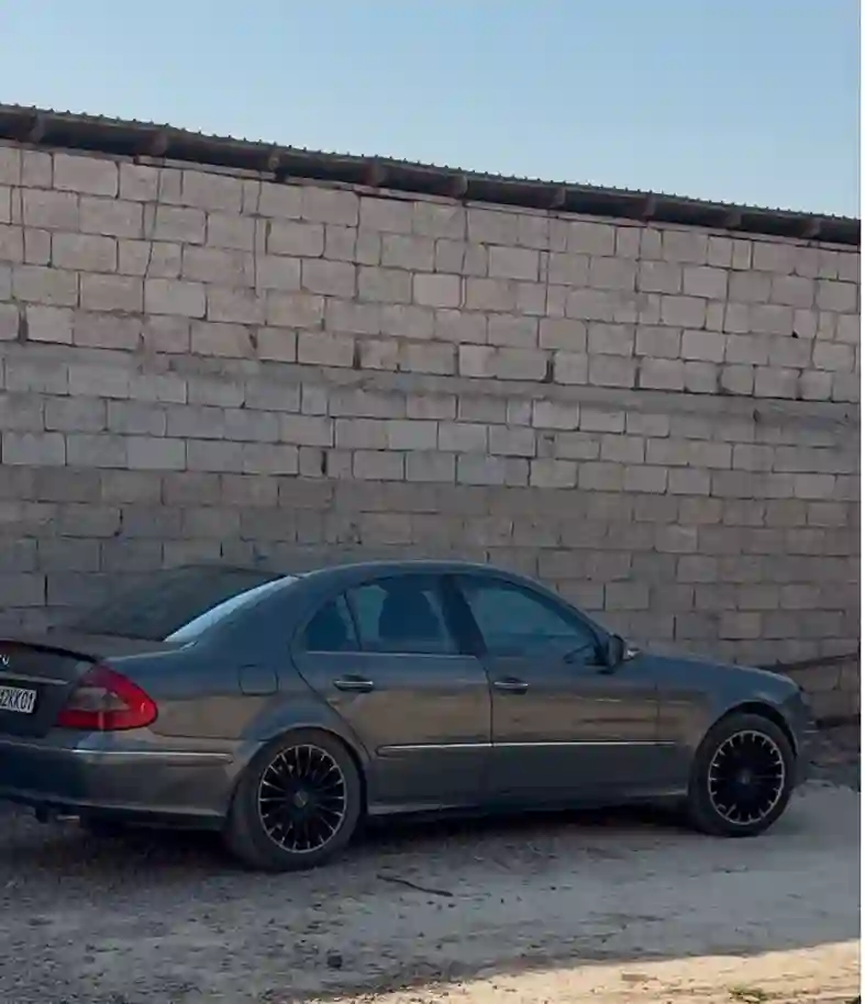 Mercedes-benz E class 2006