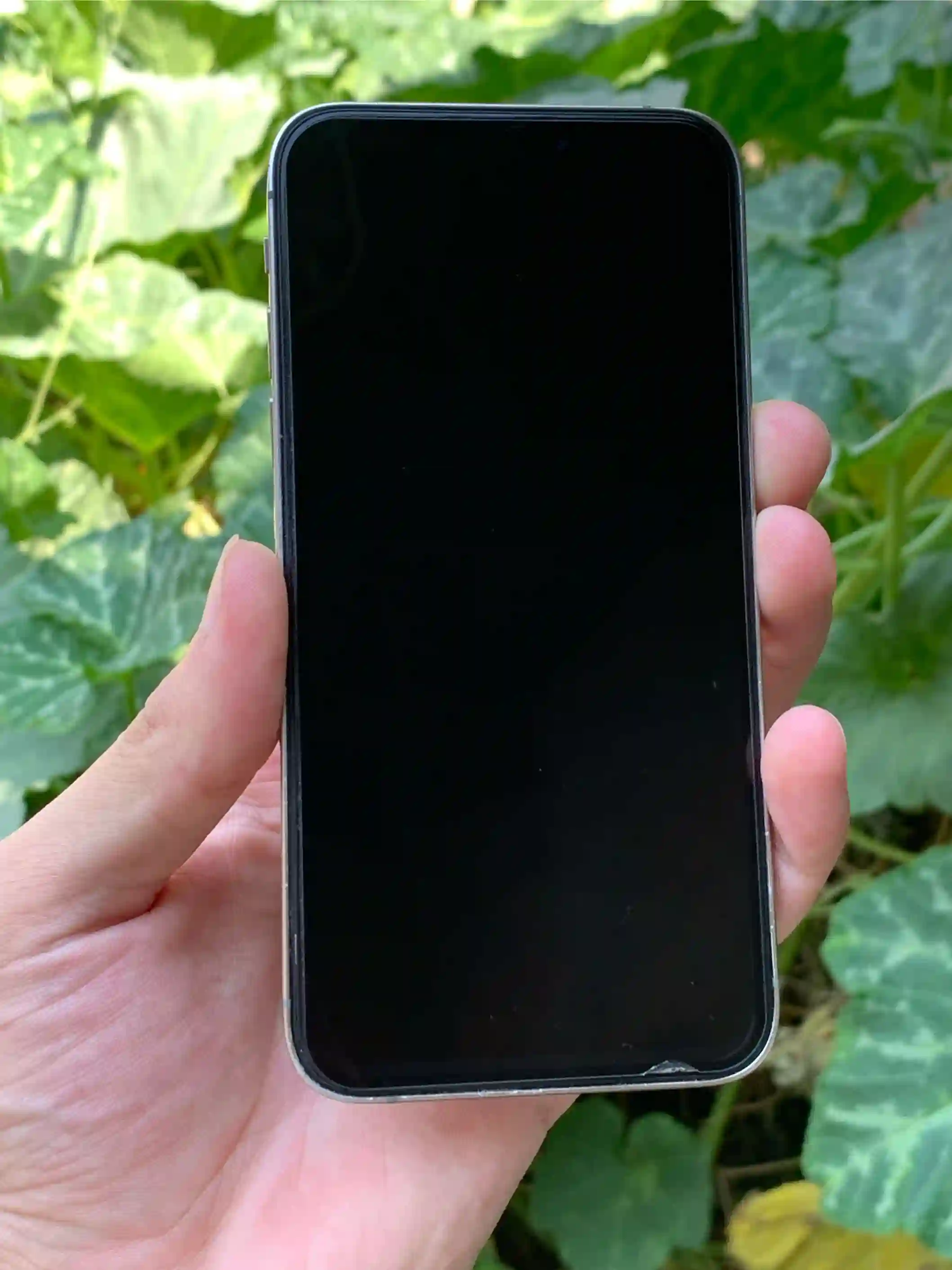 Apple iPhone x 64 gb