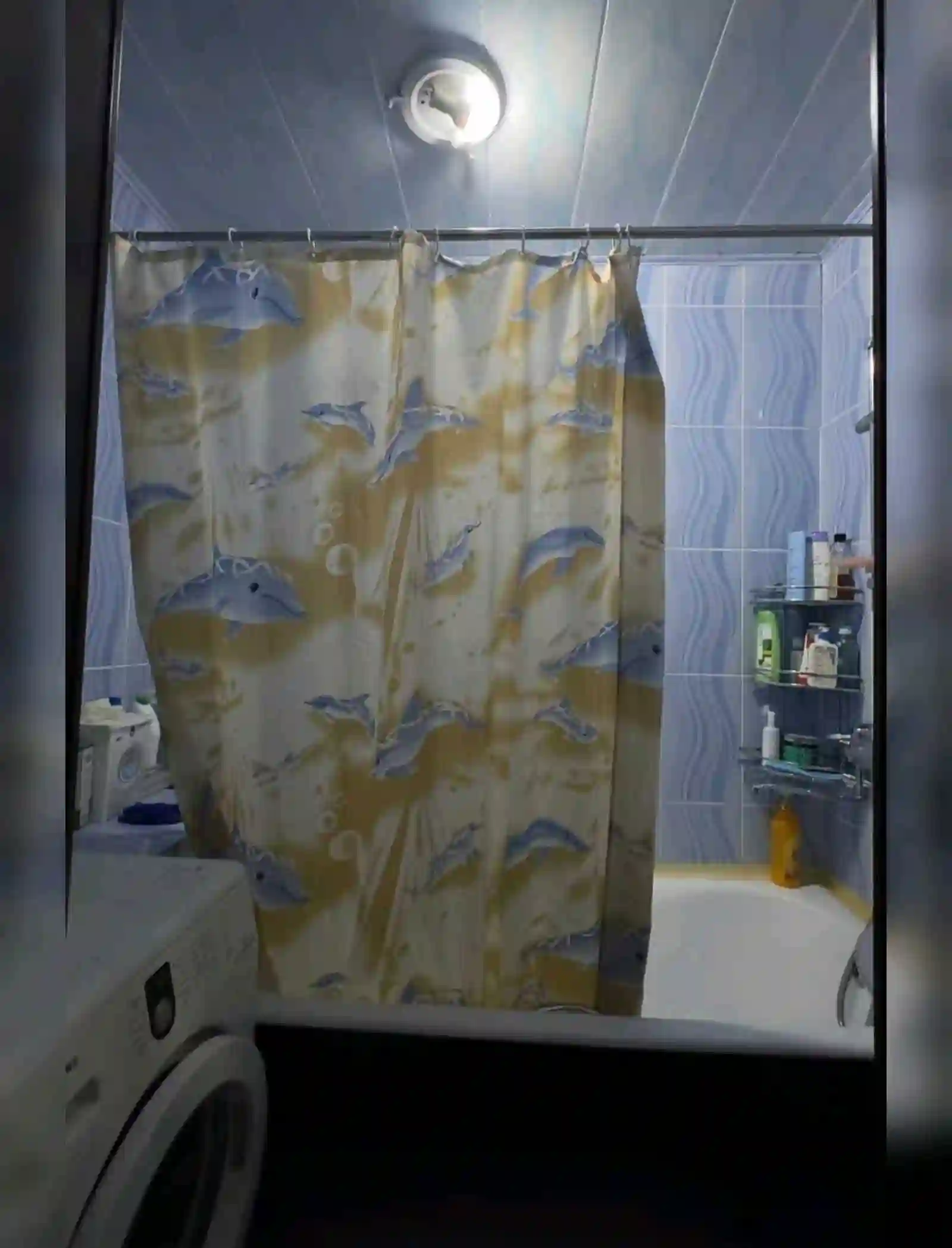 2-к квартира, 10 этаж, 69 м²,  Сино