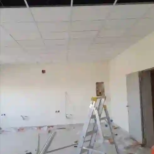 Амстронг потолок Иранский