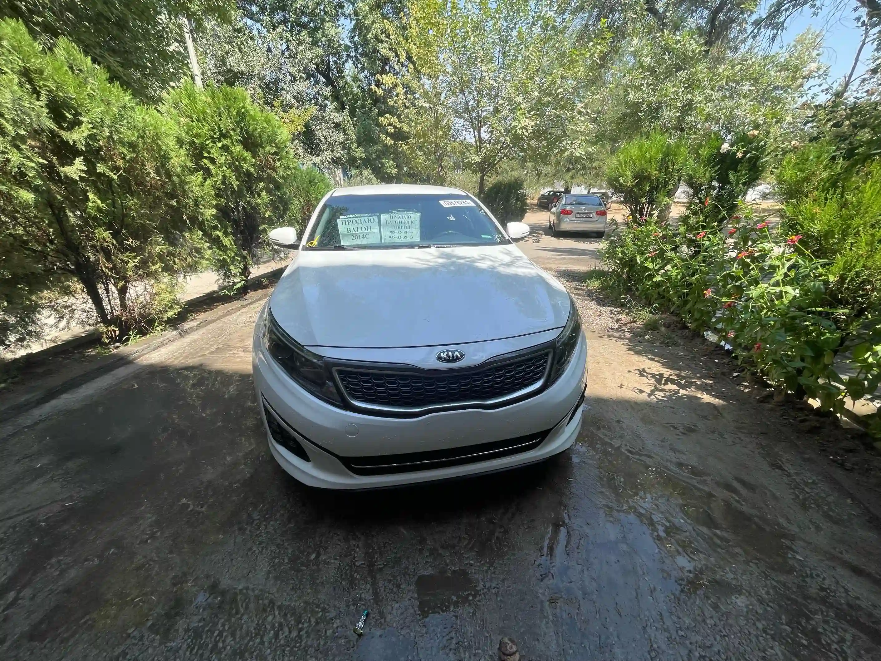 Kia Optima 2014