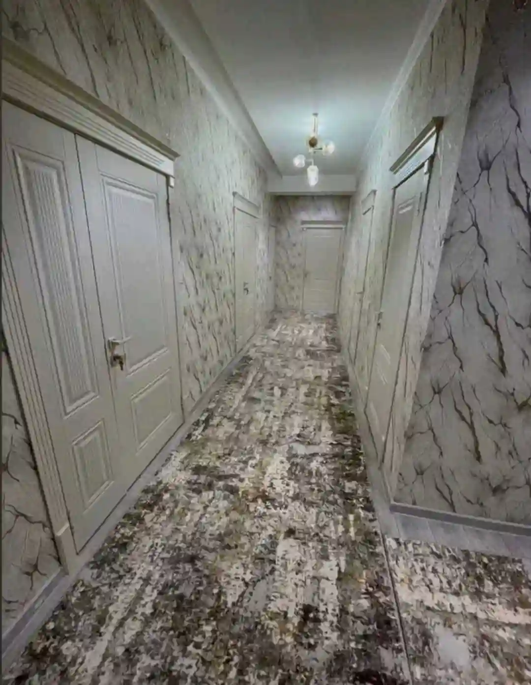 3-к квартира, 1 этаж, 106 м², Сино