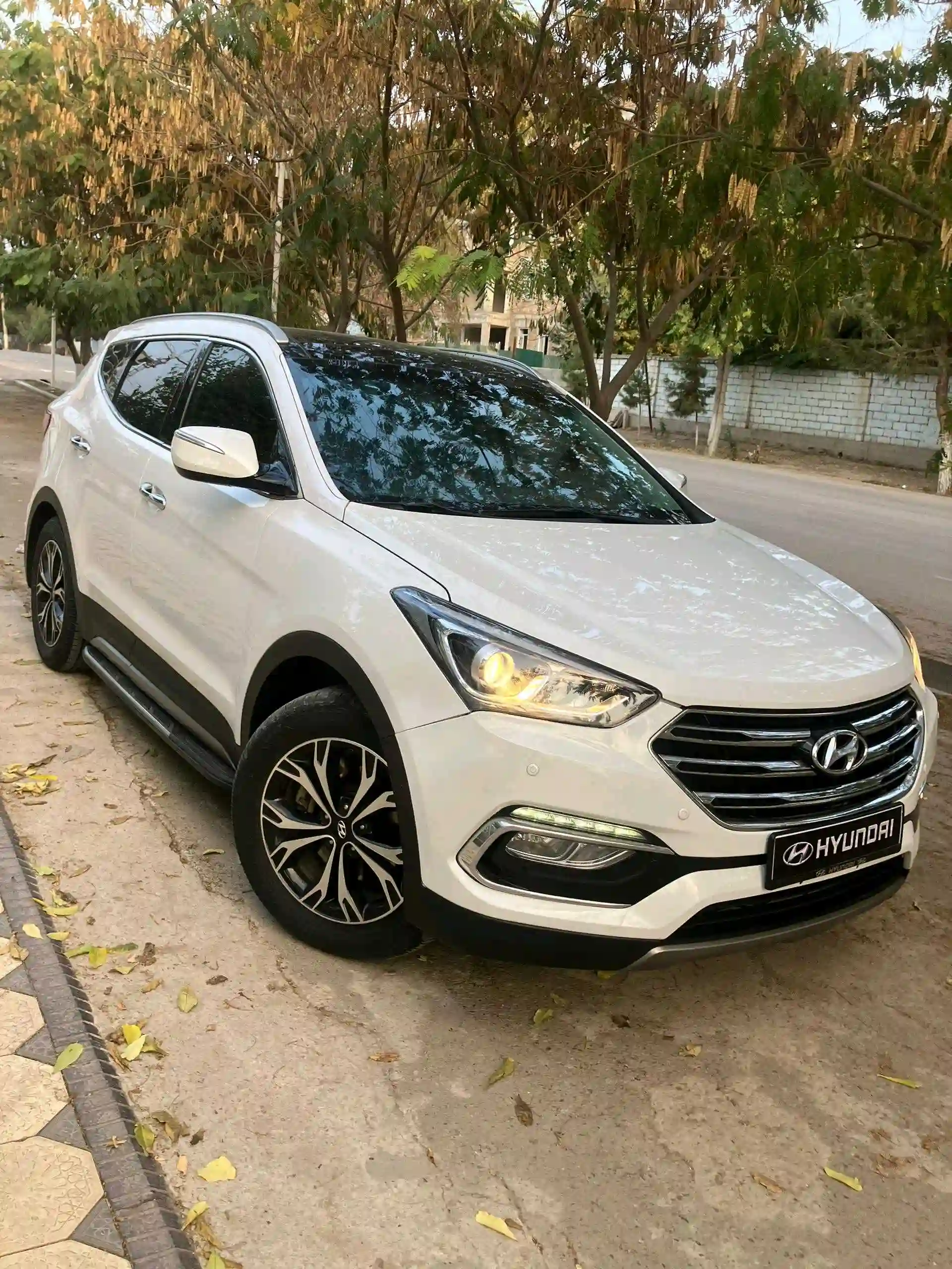 Hyundai Santa fe 2017