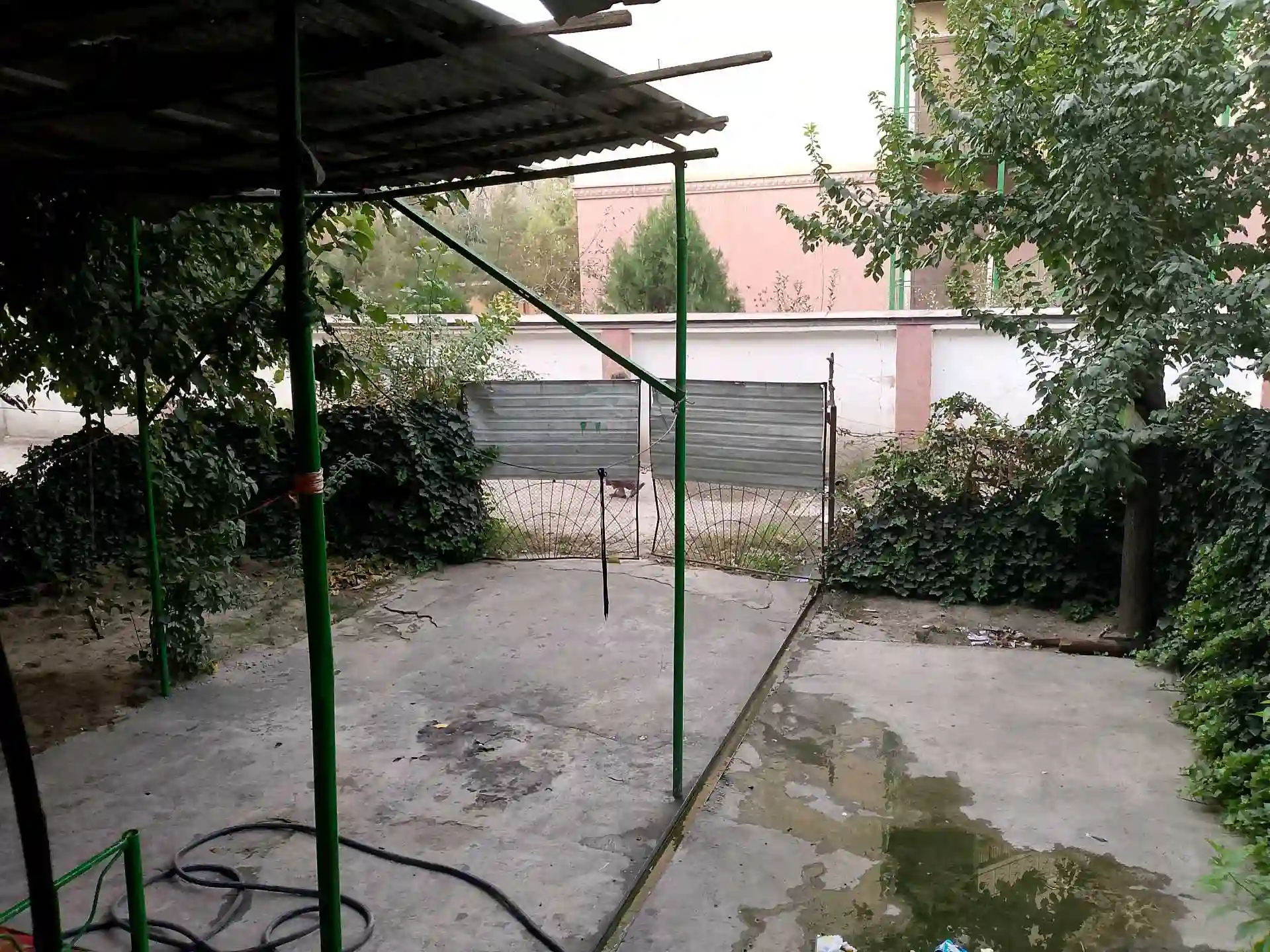2-к квартира, 1 этаж, 60 м², сино