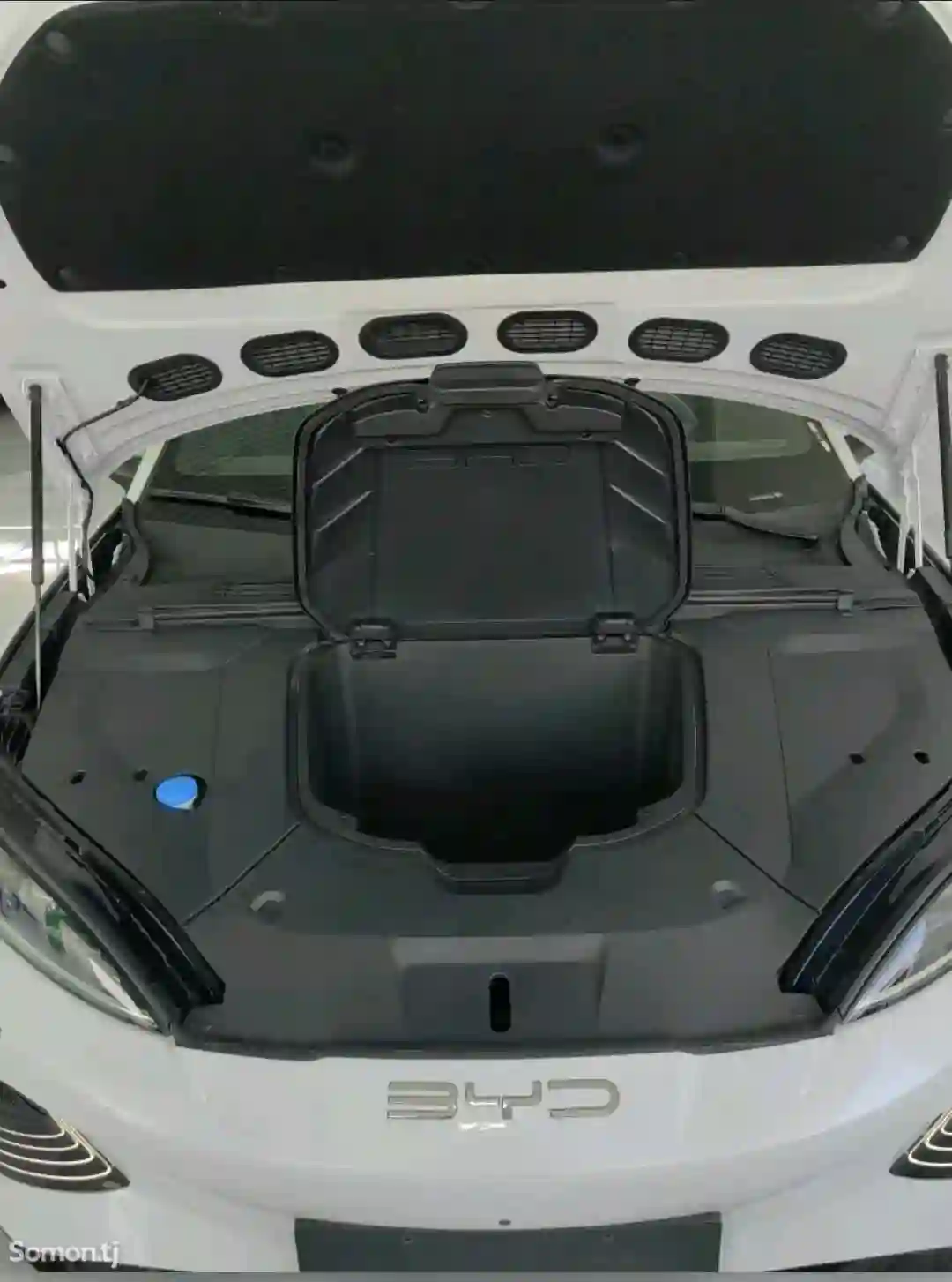 BYD Sea Lion 06 2025