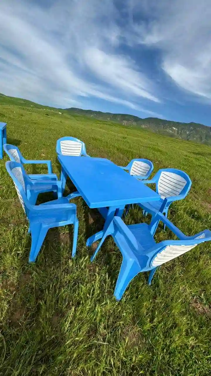 столы и стулья 