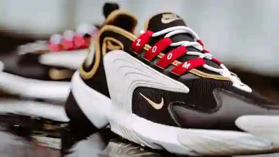 Кроссовки Nike Zoom 2K Air Icon