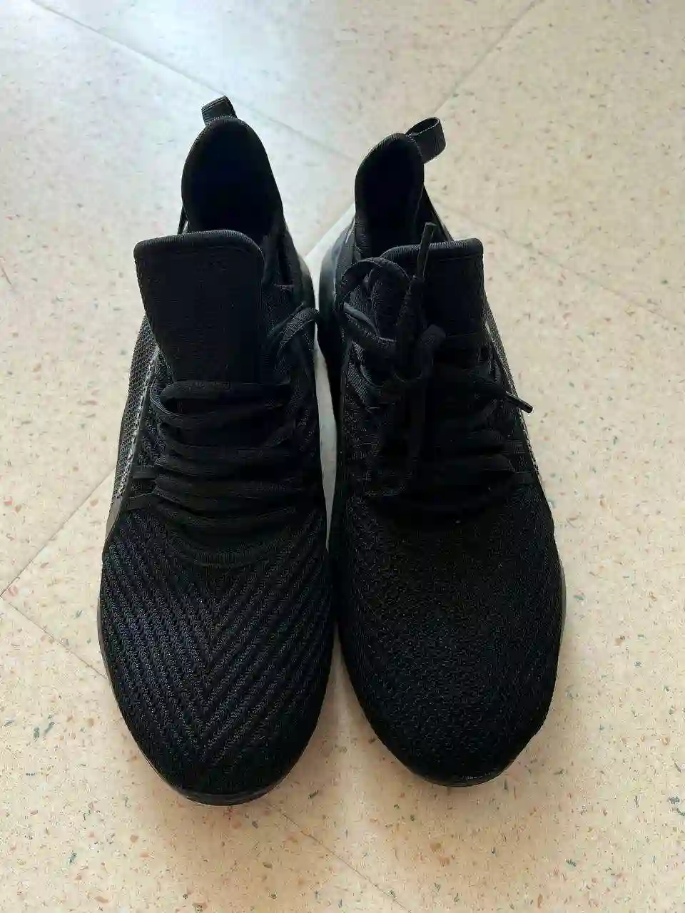 Кроссовки Womens Us Polo Association Black Light P