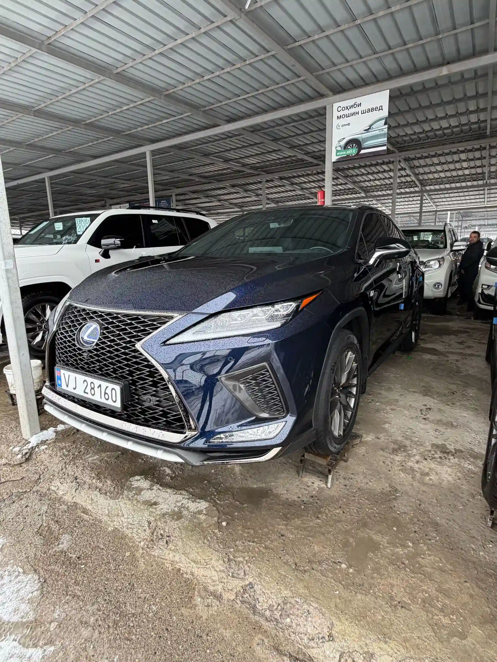 Lexus Rx series 2022 — миниатюра 2