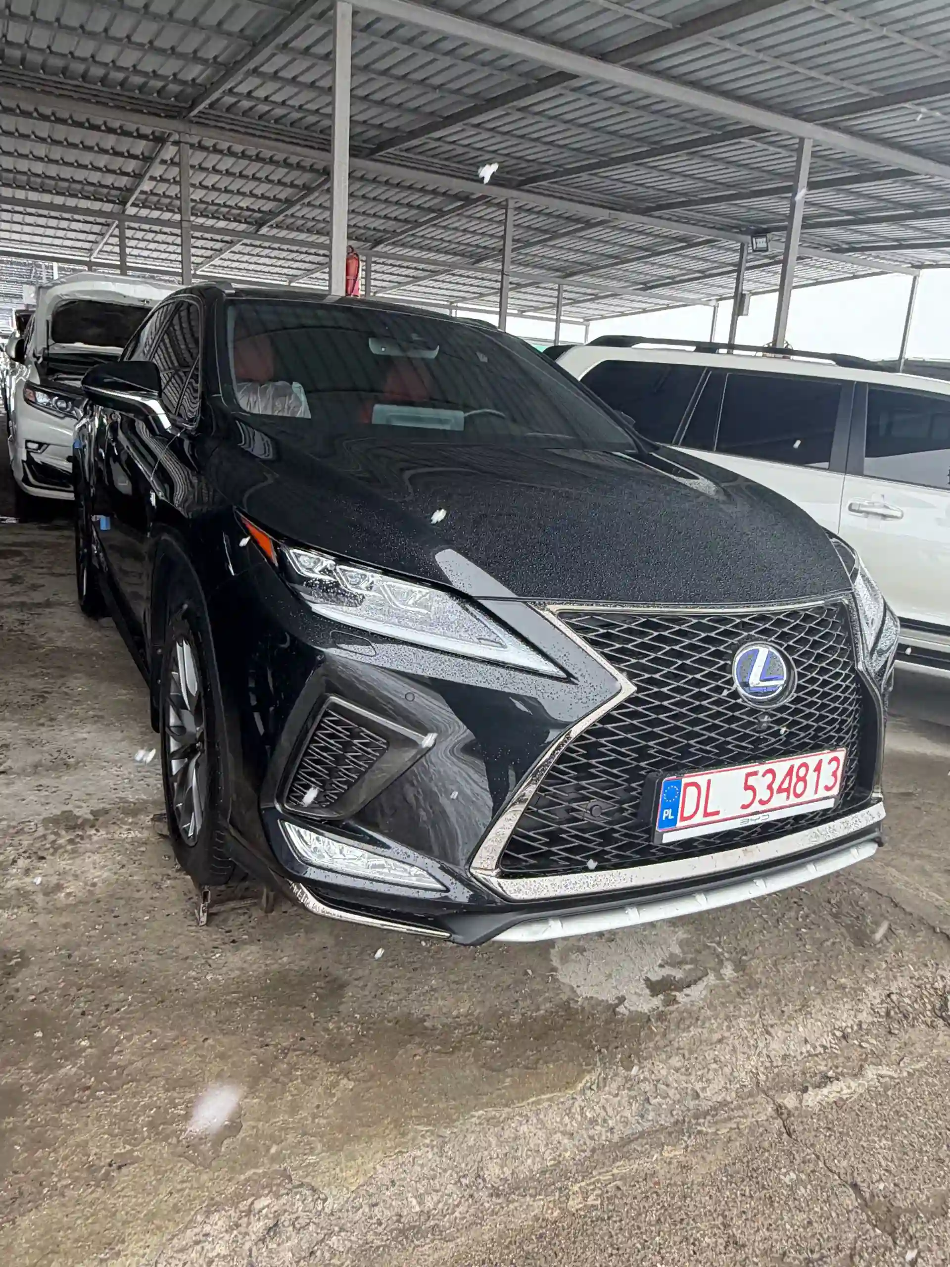 Lexus Rx series 2022
