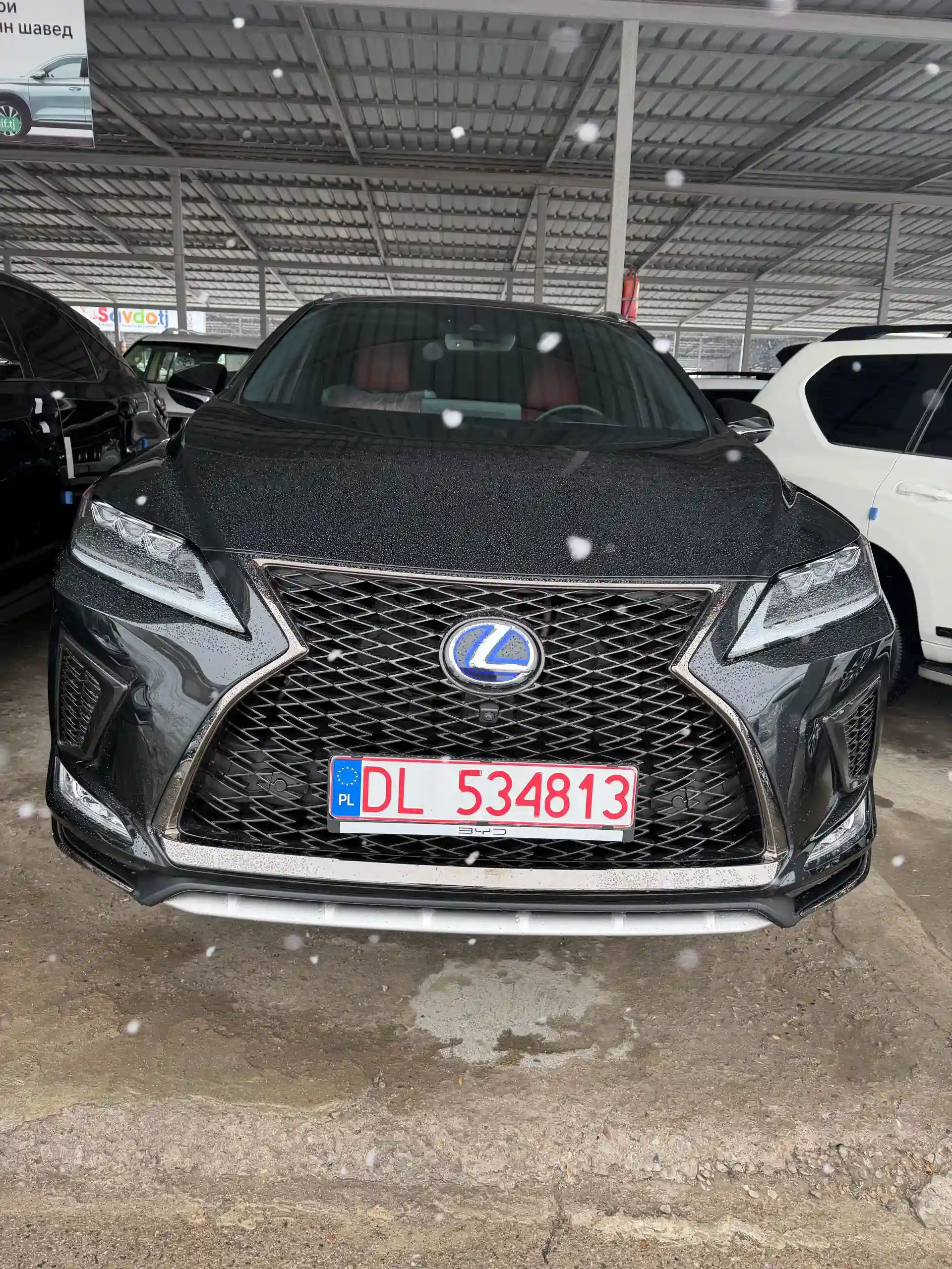 Lexus Rx series 2022 — миниатюра 3
