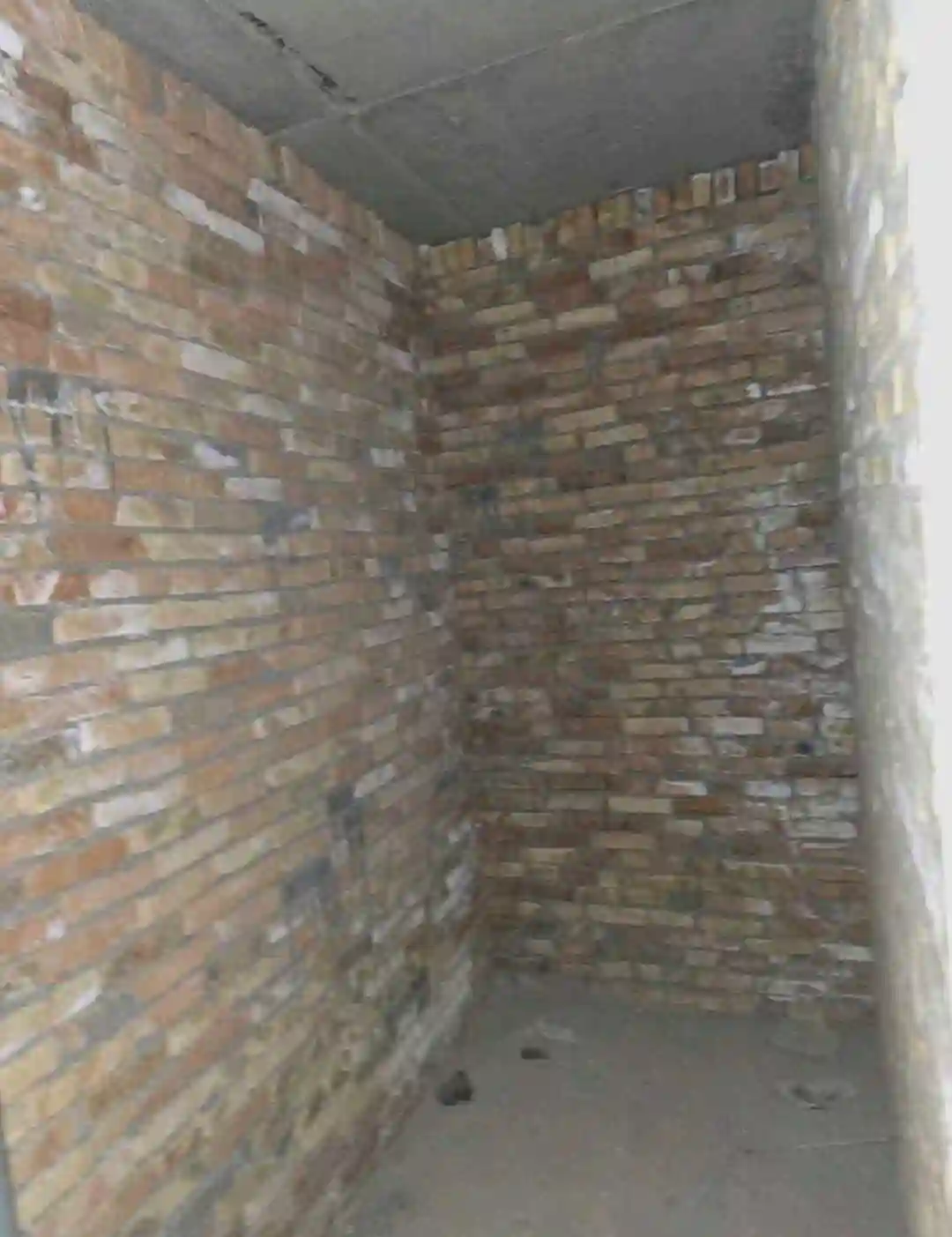 2-к квартира, 15 этаж, 61.5 м², Сино