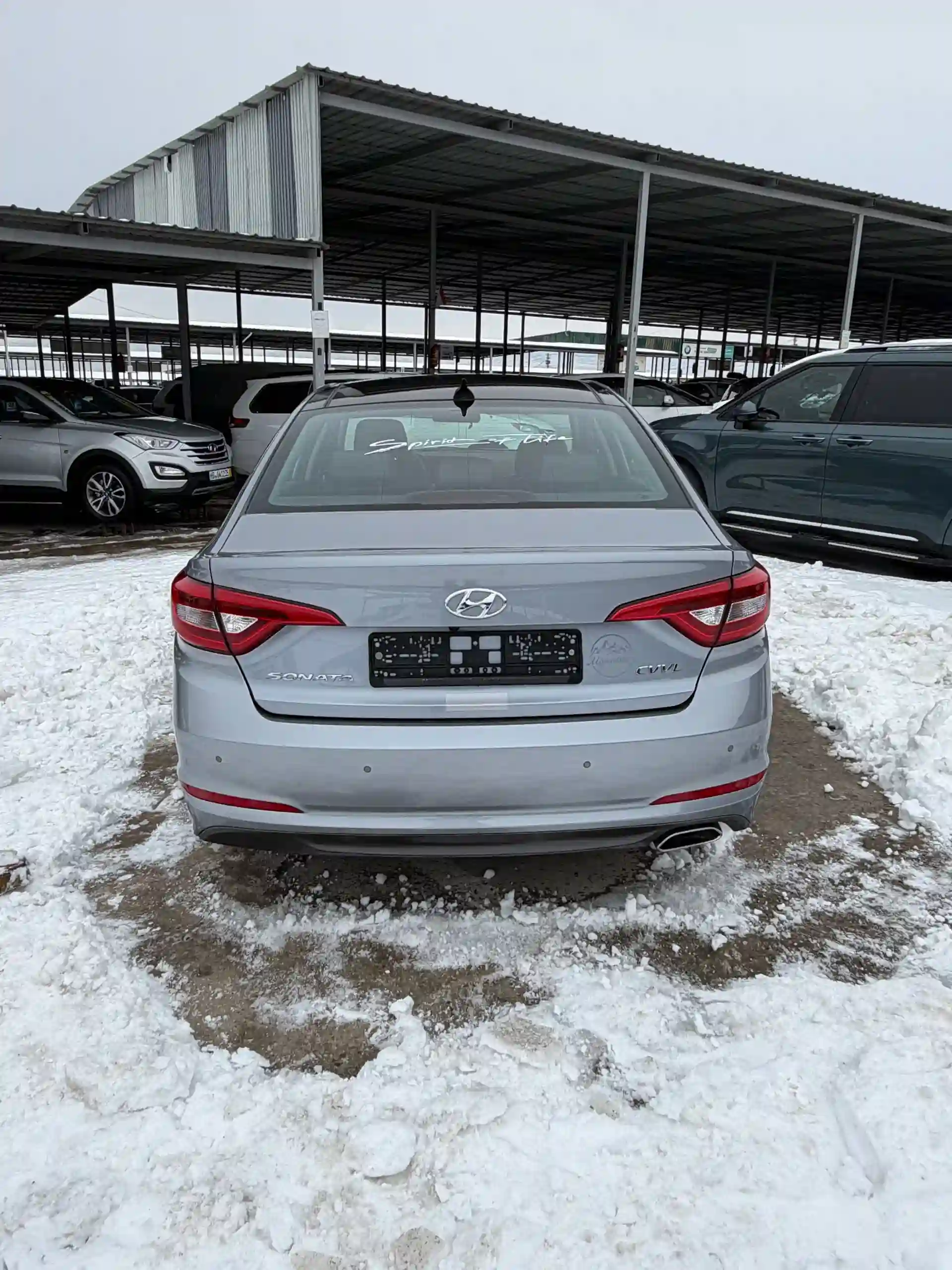 Hyundai Santamo 2014
