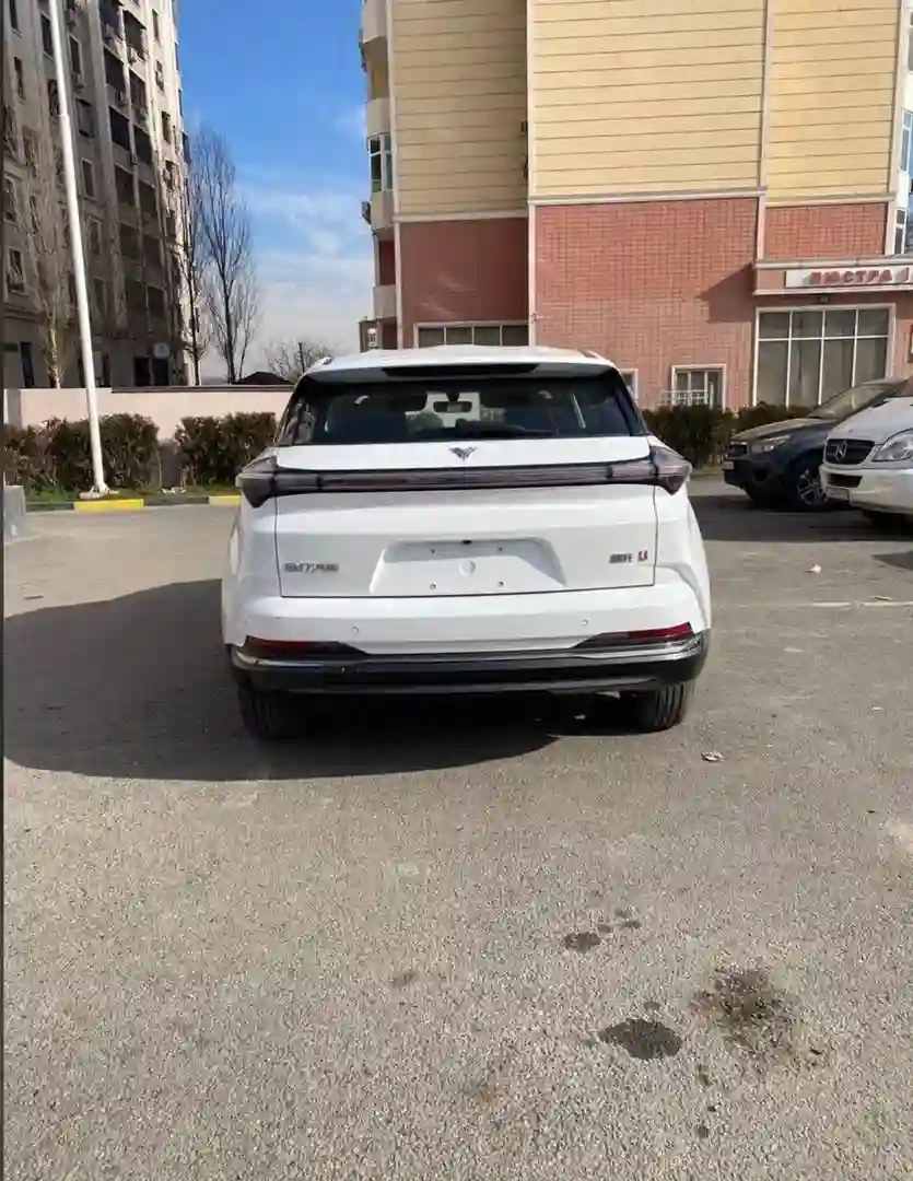 Neta N01 2023