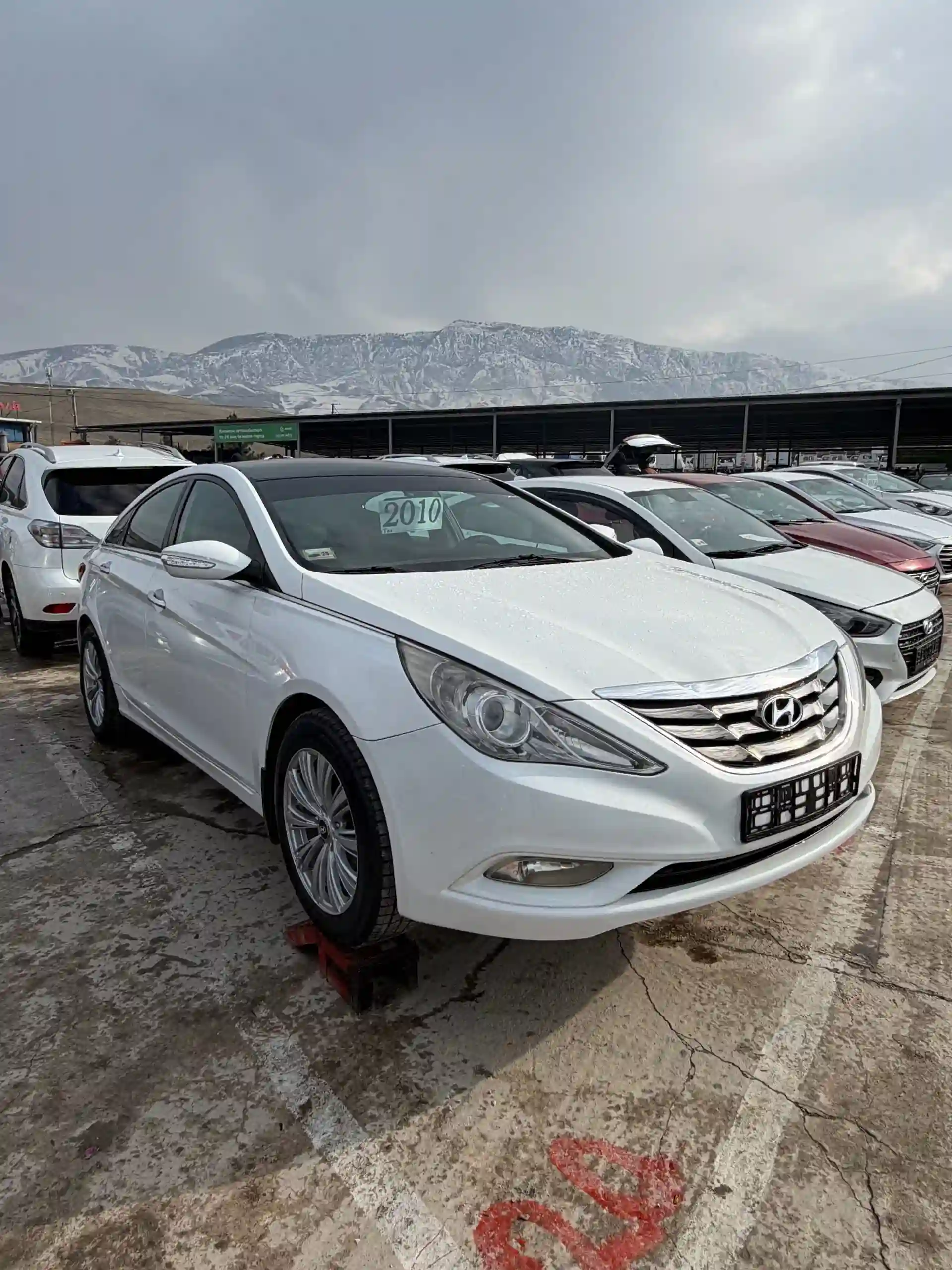 Hyundai Sonata 2010