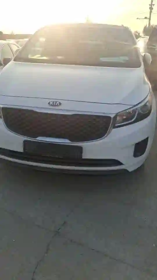 Kia Sedona 2016