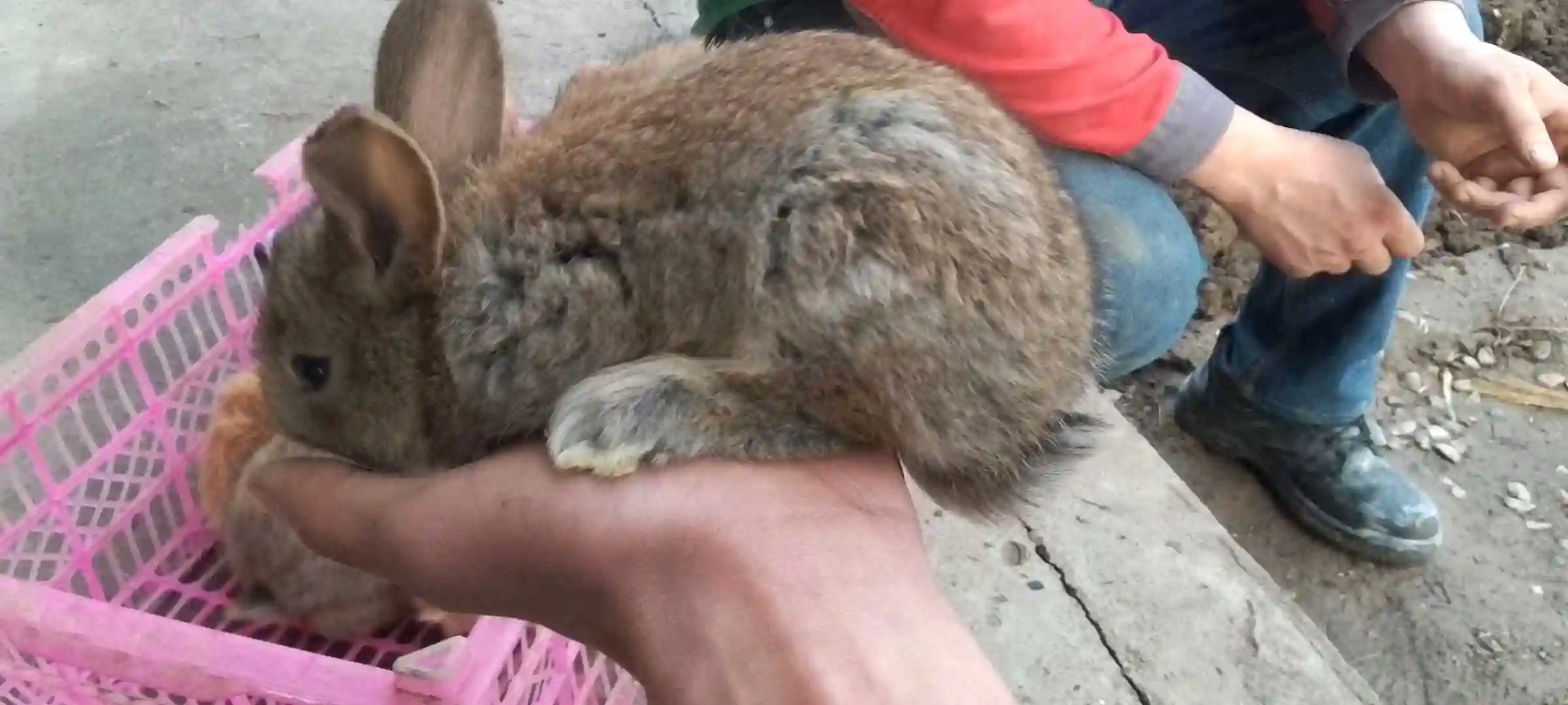 харгушча 9 км 