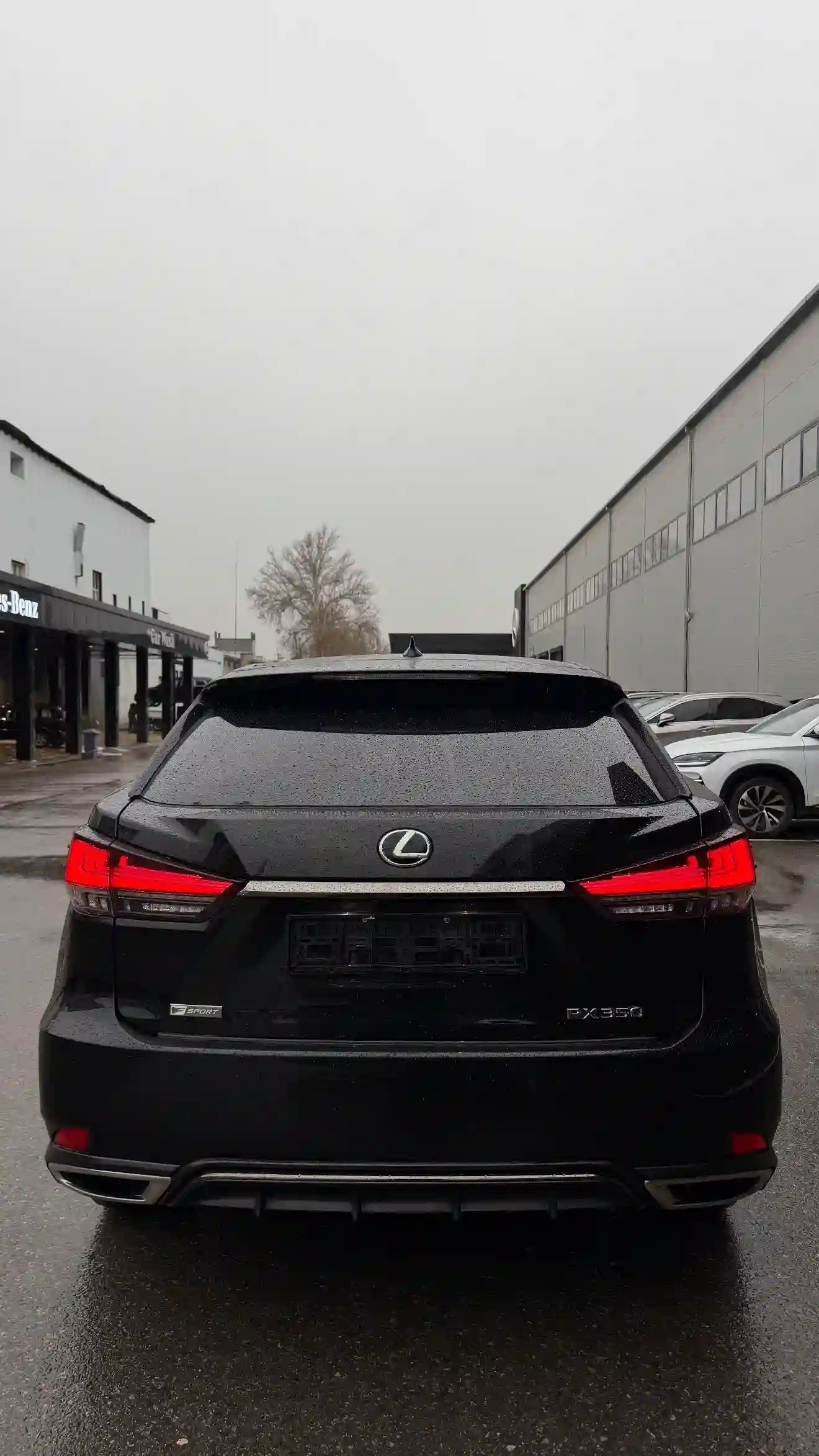 Lexus Rx series 2020 — миниатюра 2