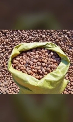 керамзит вахдат саюз сифати хуб 