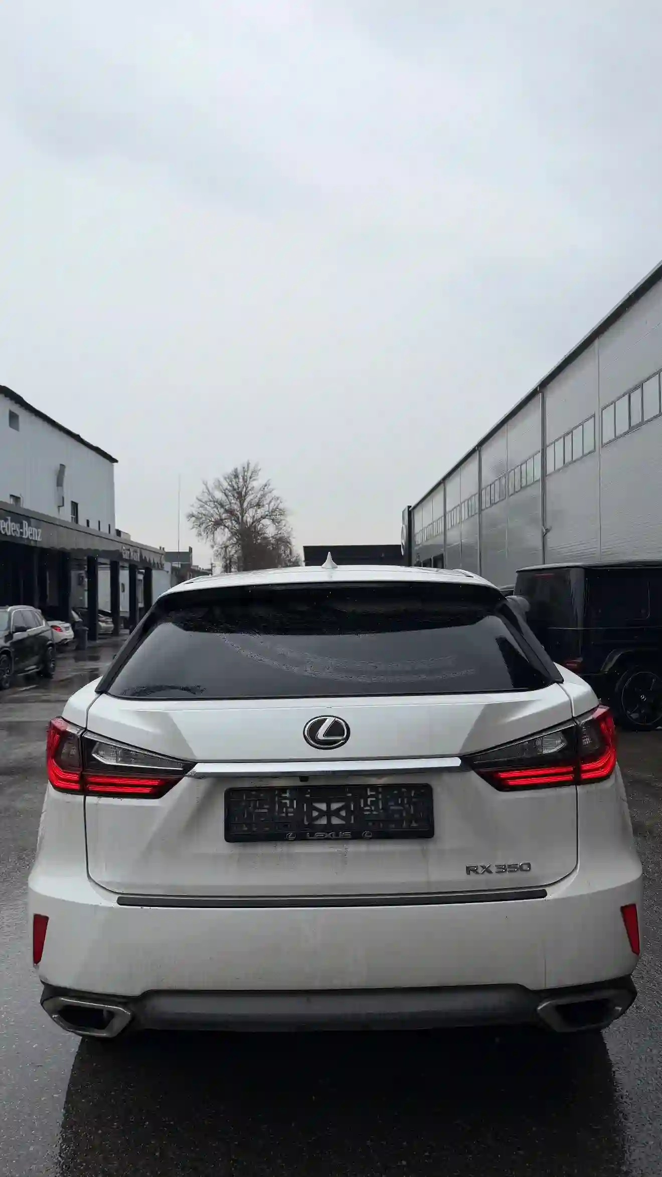 Lexus Rx series 2018 — миниатюра 2