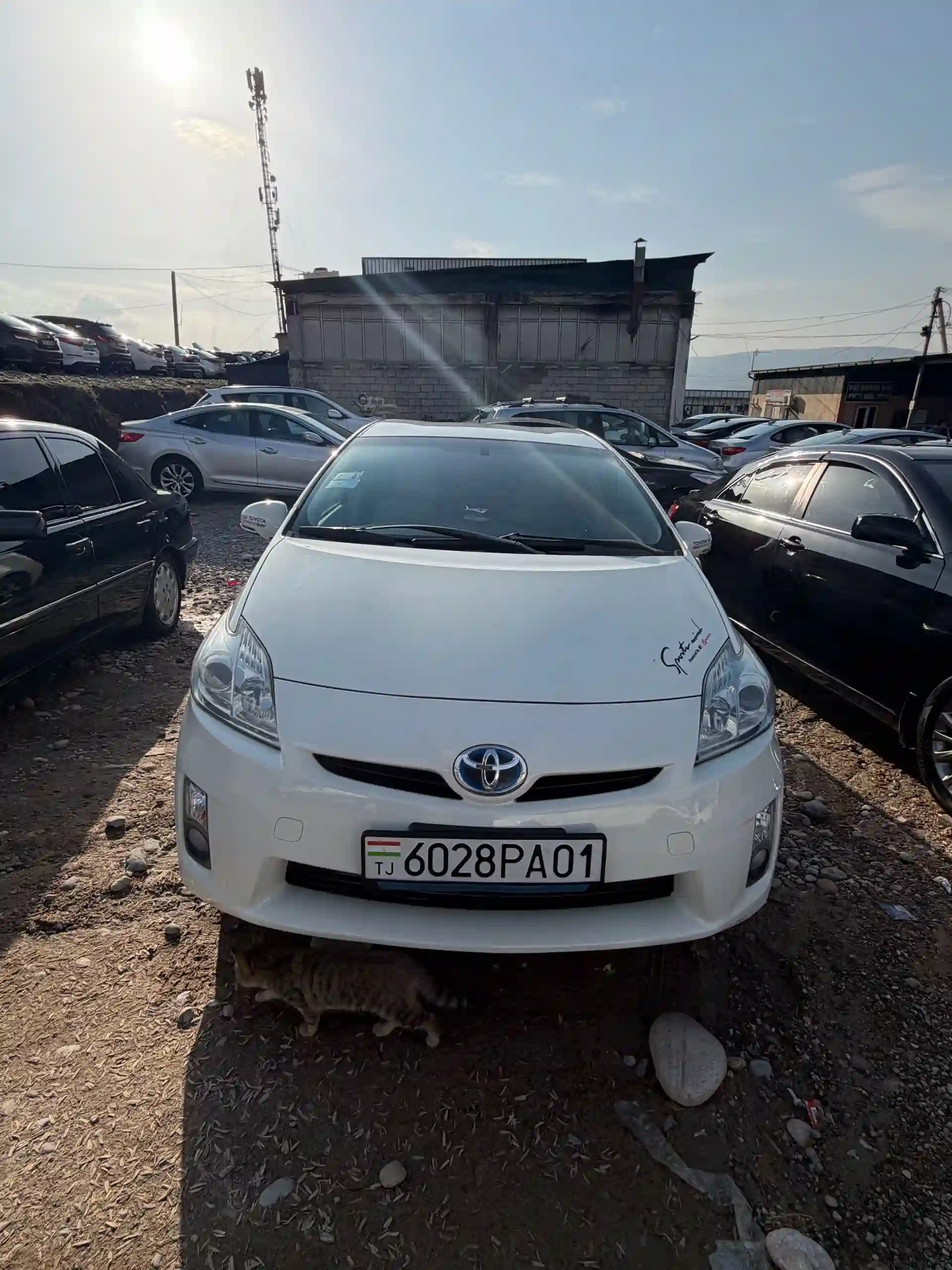 Toyota Prius 2010