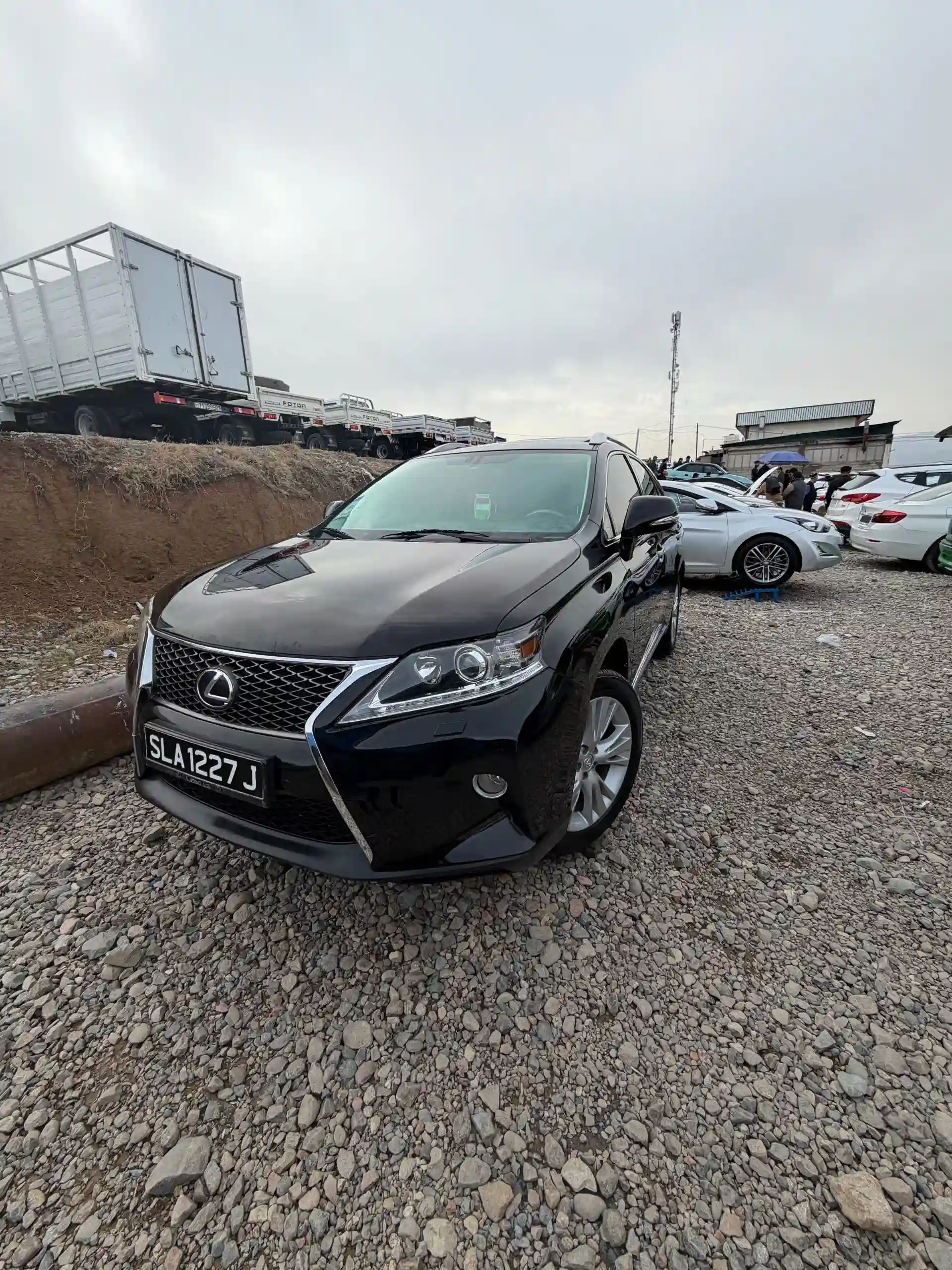 Lexus Rx series 2010 — миниатюра 2