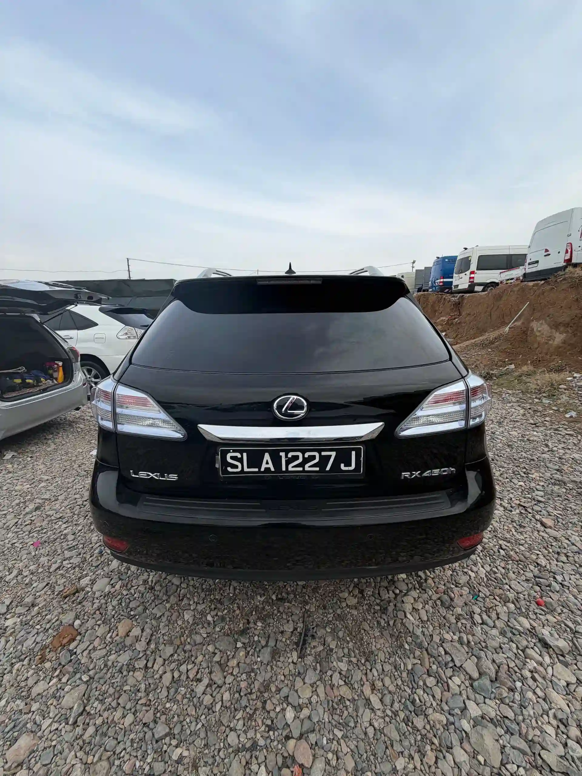 Lexus Rx series 2010 — миниатюра 3