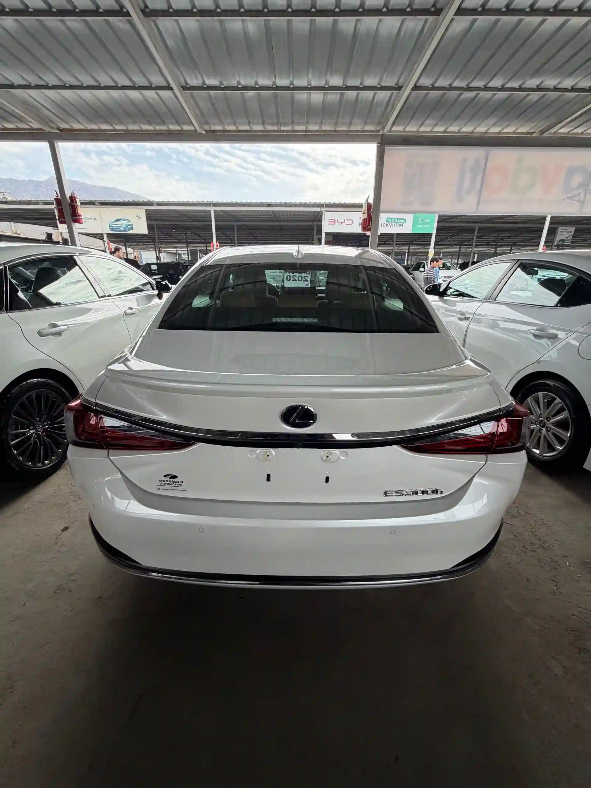 Lexus Es series 2020