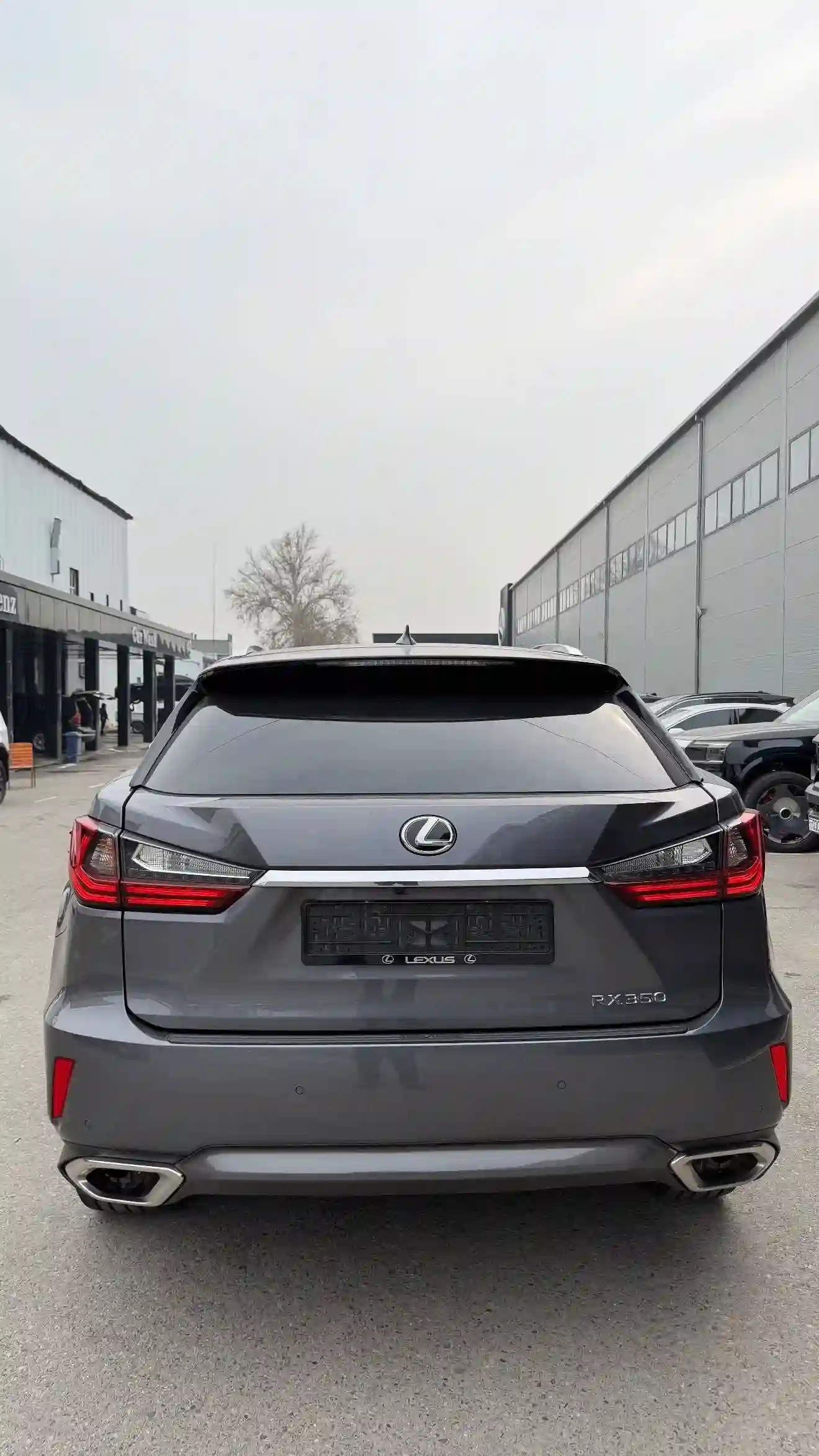 Lexus Rx series 2016 — миниатюра 2