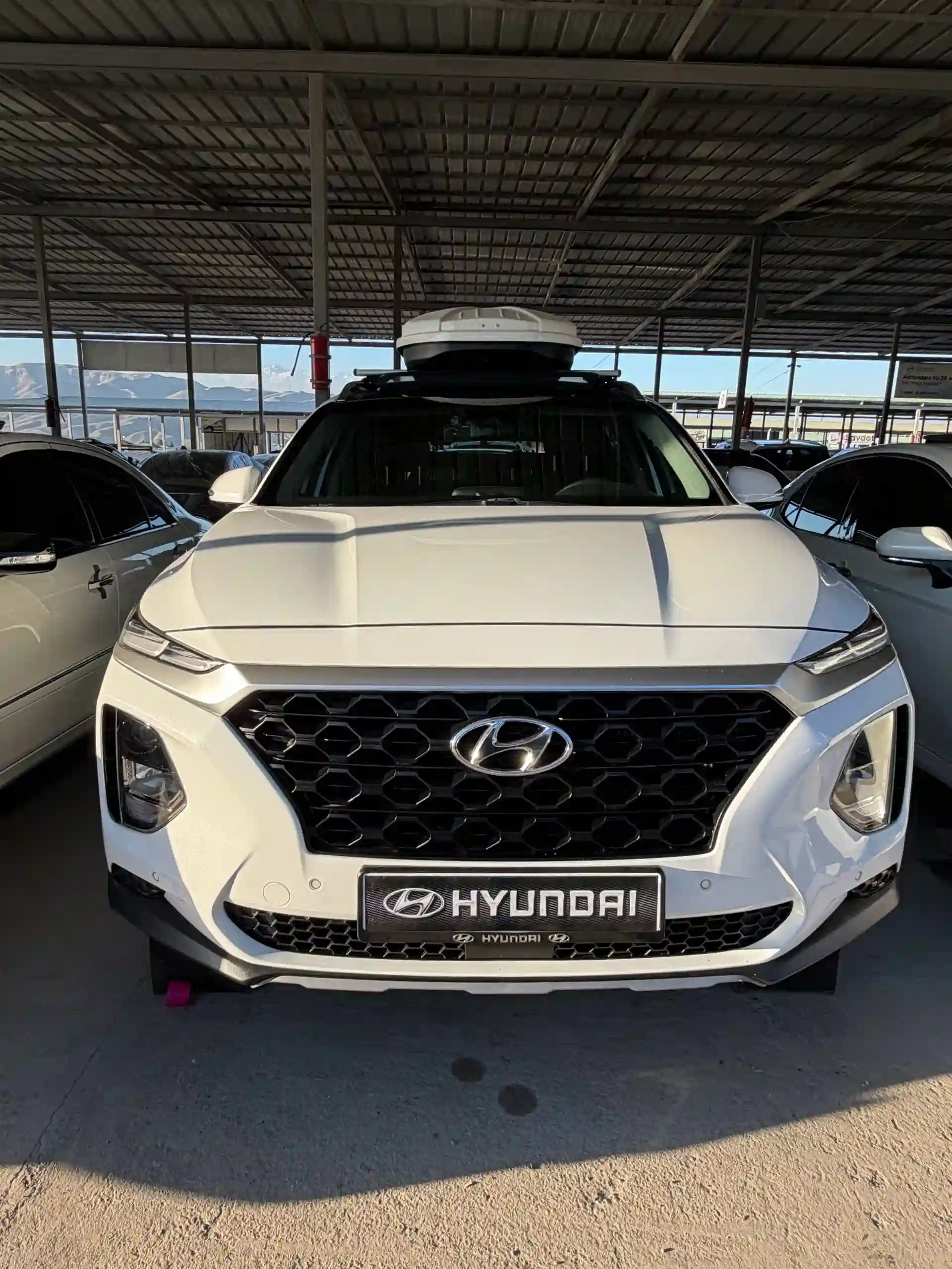 Hyundai Santa fe 2019
