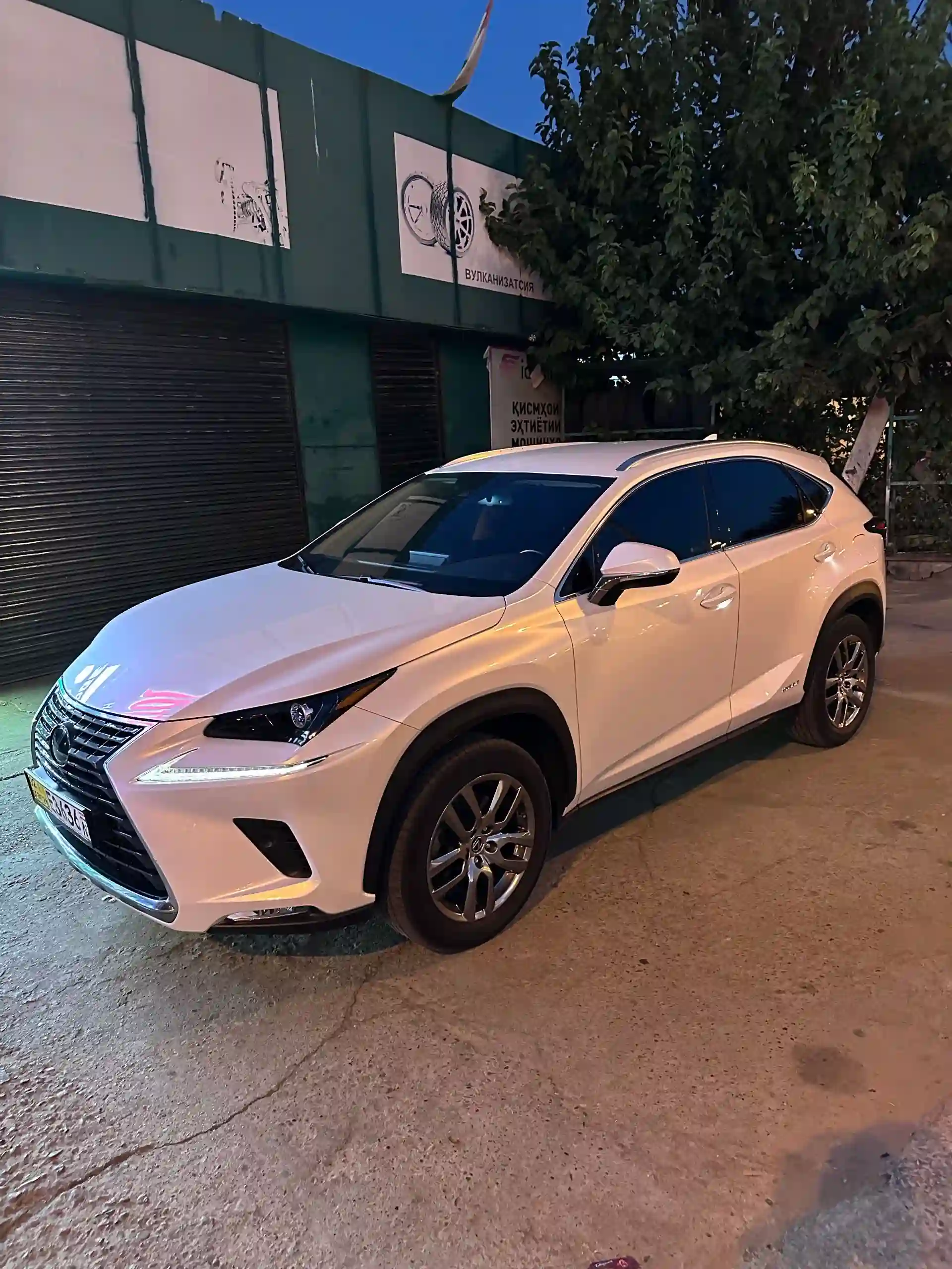 Lexus Nx series 2019