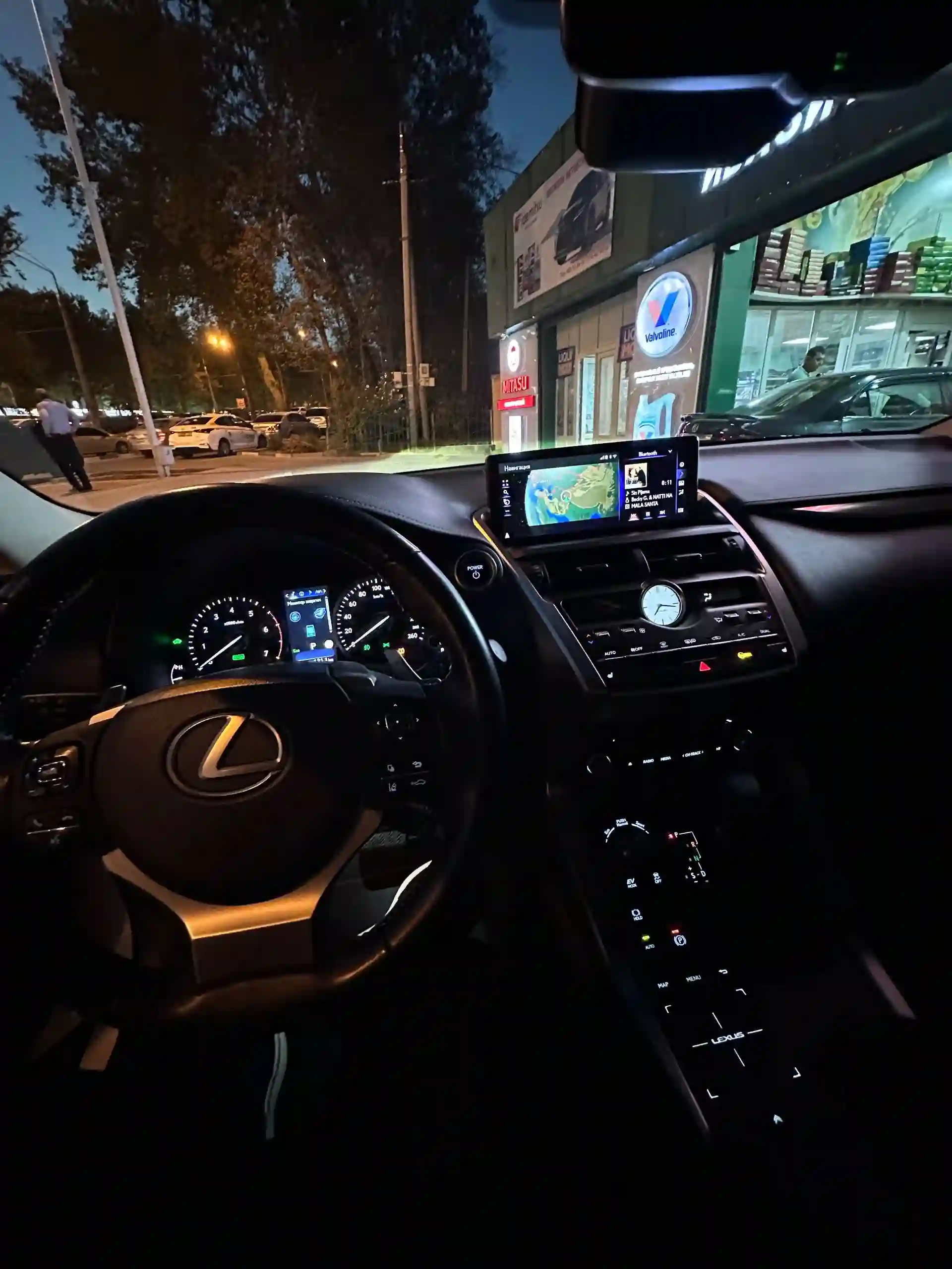 Lexus Nx series 2019