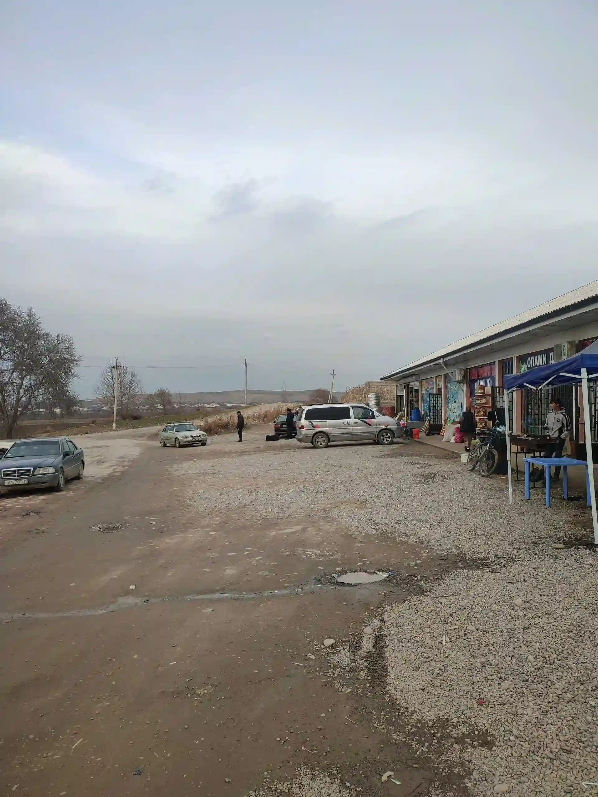 1 этажный, 3-комн. дом, 75 м², 35 соток, Хисор