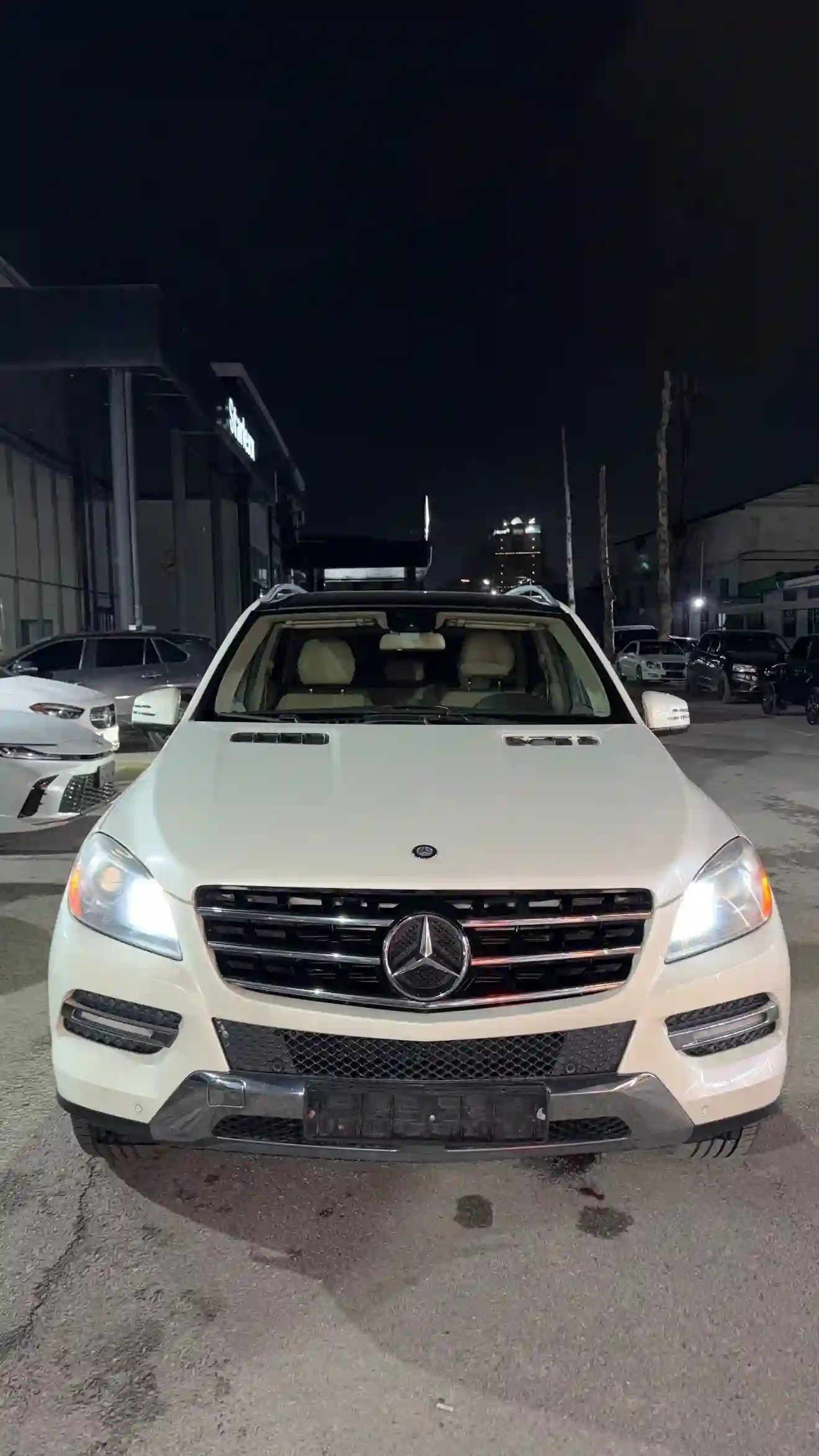 Mercedes-benz Ml class 2012