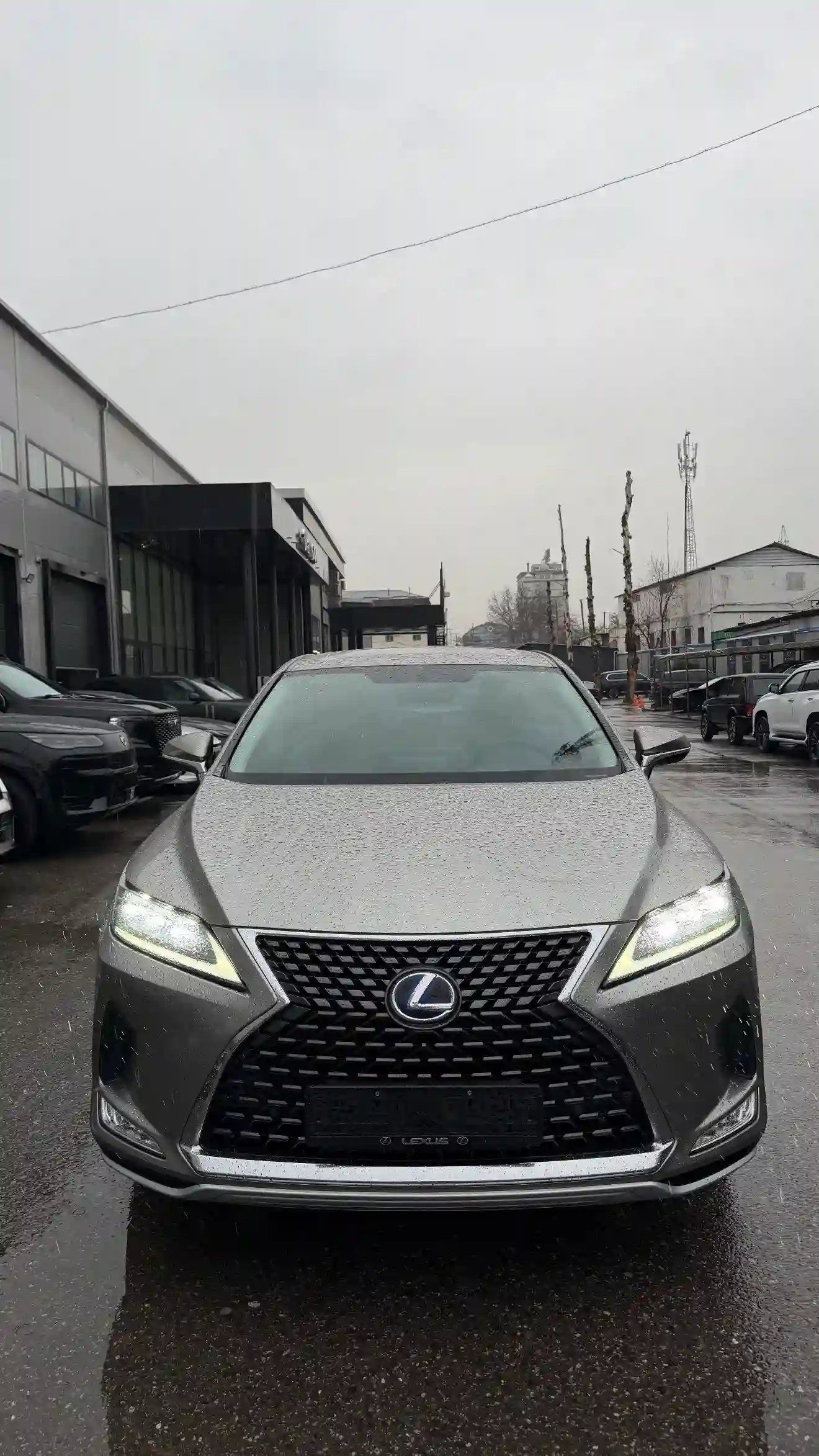 Lexus Rx series 2020