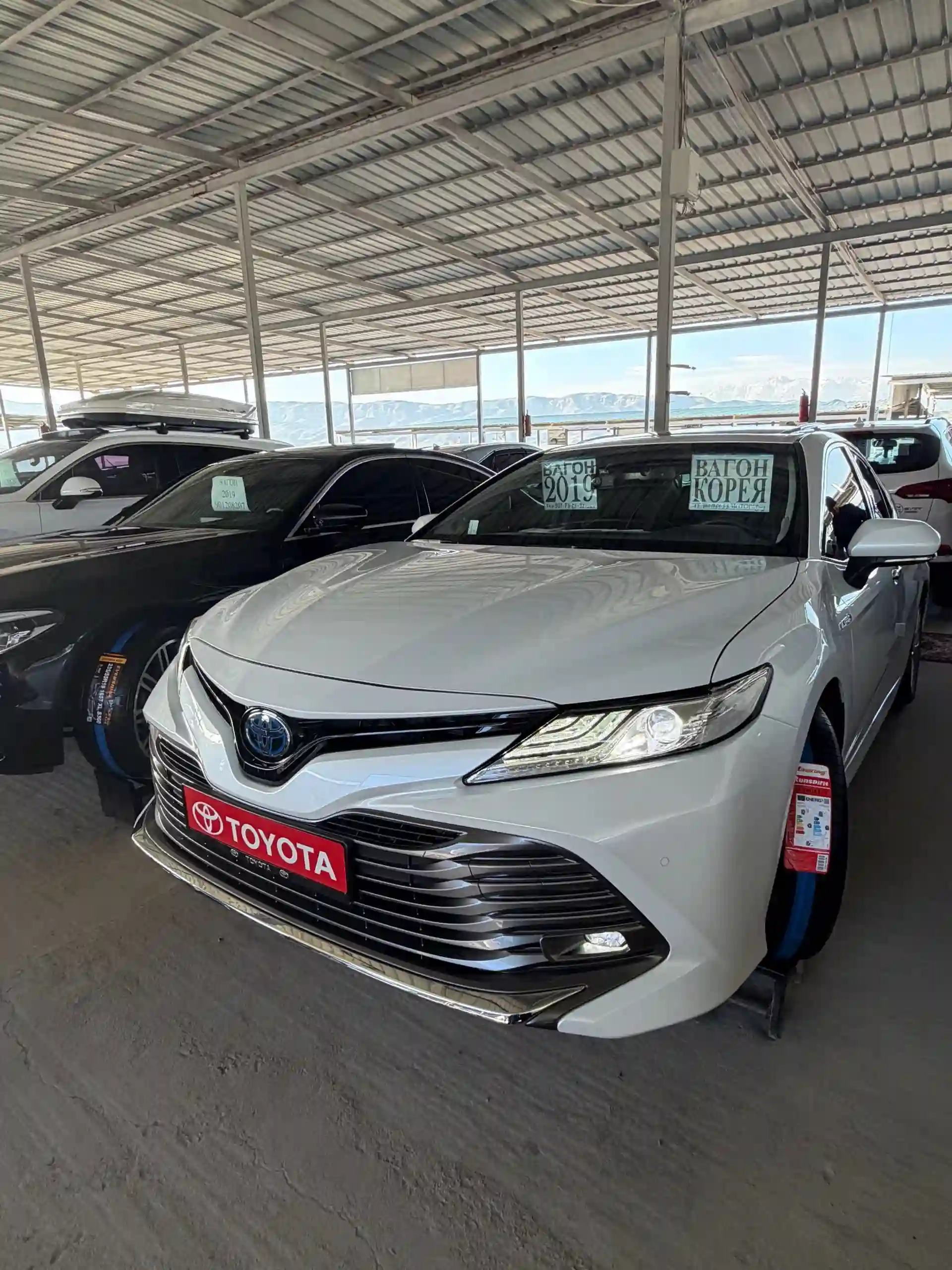 Toyota Camry 2019