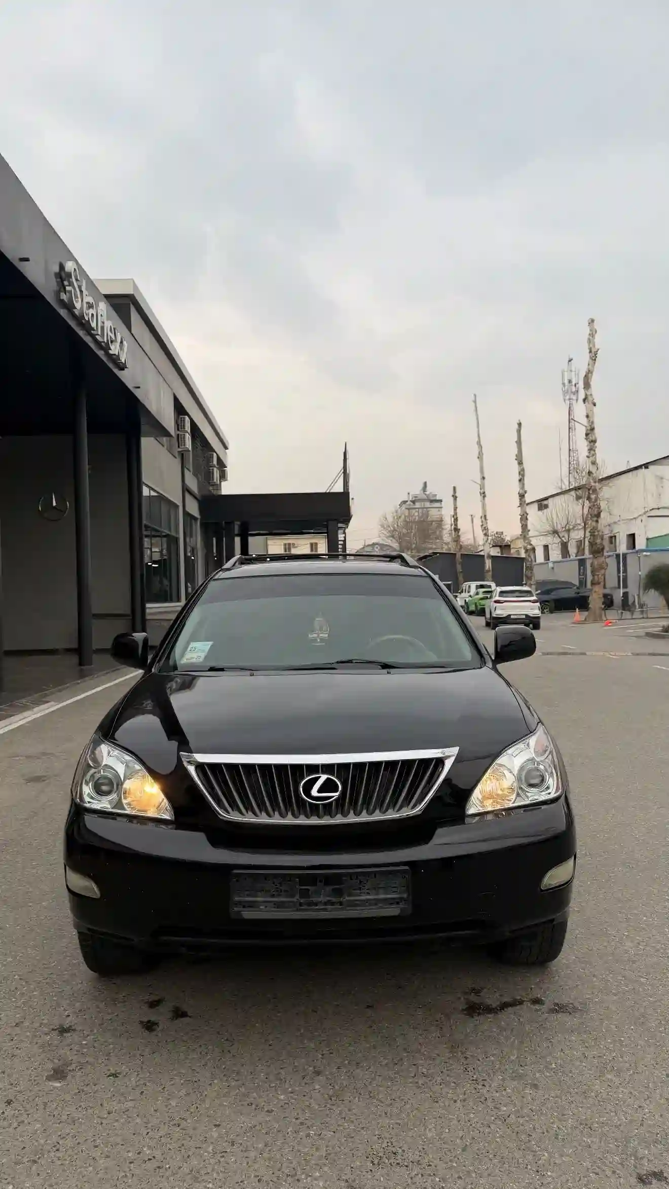 Lexus Rx series 2008