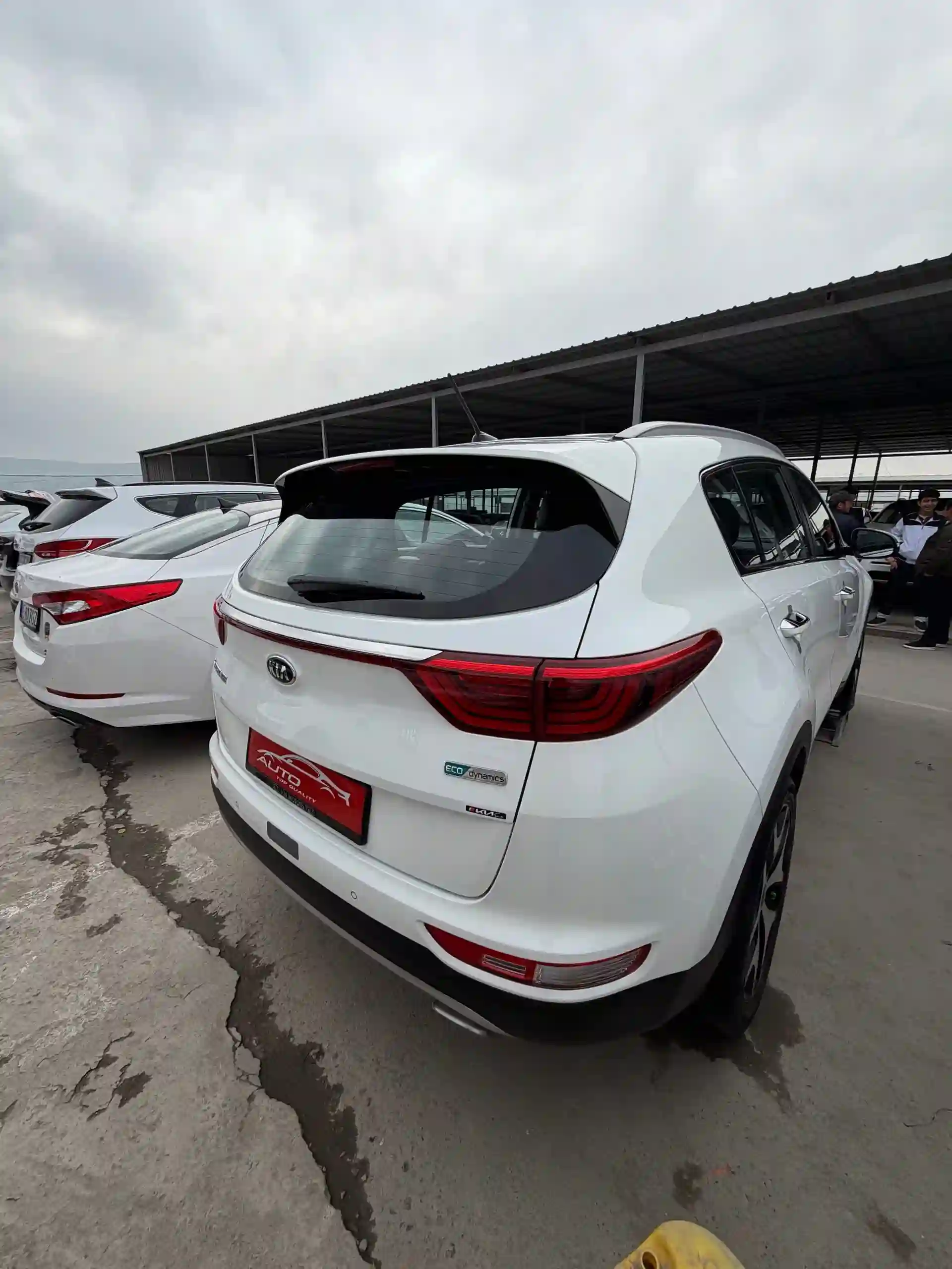 Kia Sportage 2017