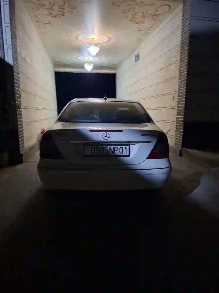 Mercedes-benz E class 2006 — миниатюра 7