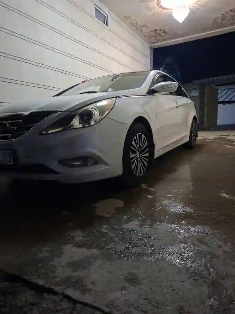 Hyundai Sonata 2010