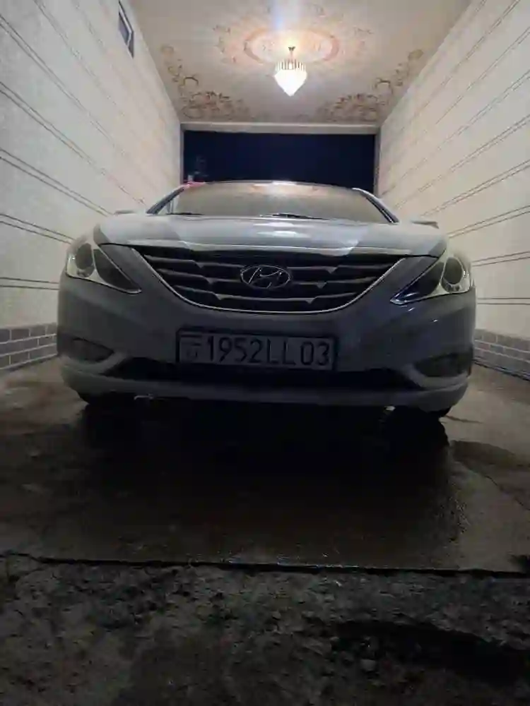Hyundai Sonata 2010 — миниатюра 2