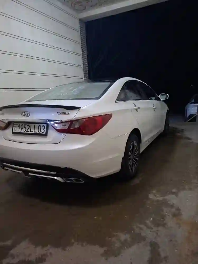 Hyundai Sonata 2010 — миниатюра 3