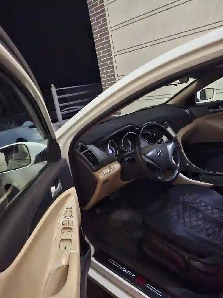 Hyundai Sonata 2010 — миниатюра 4
