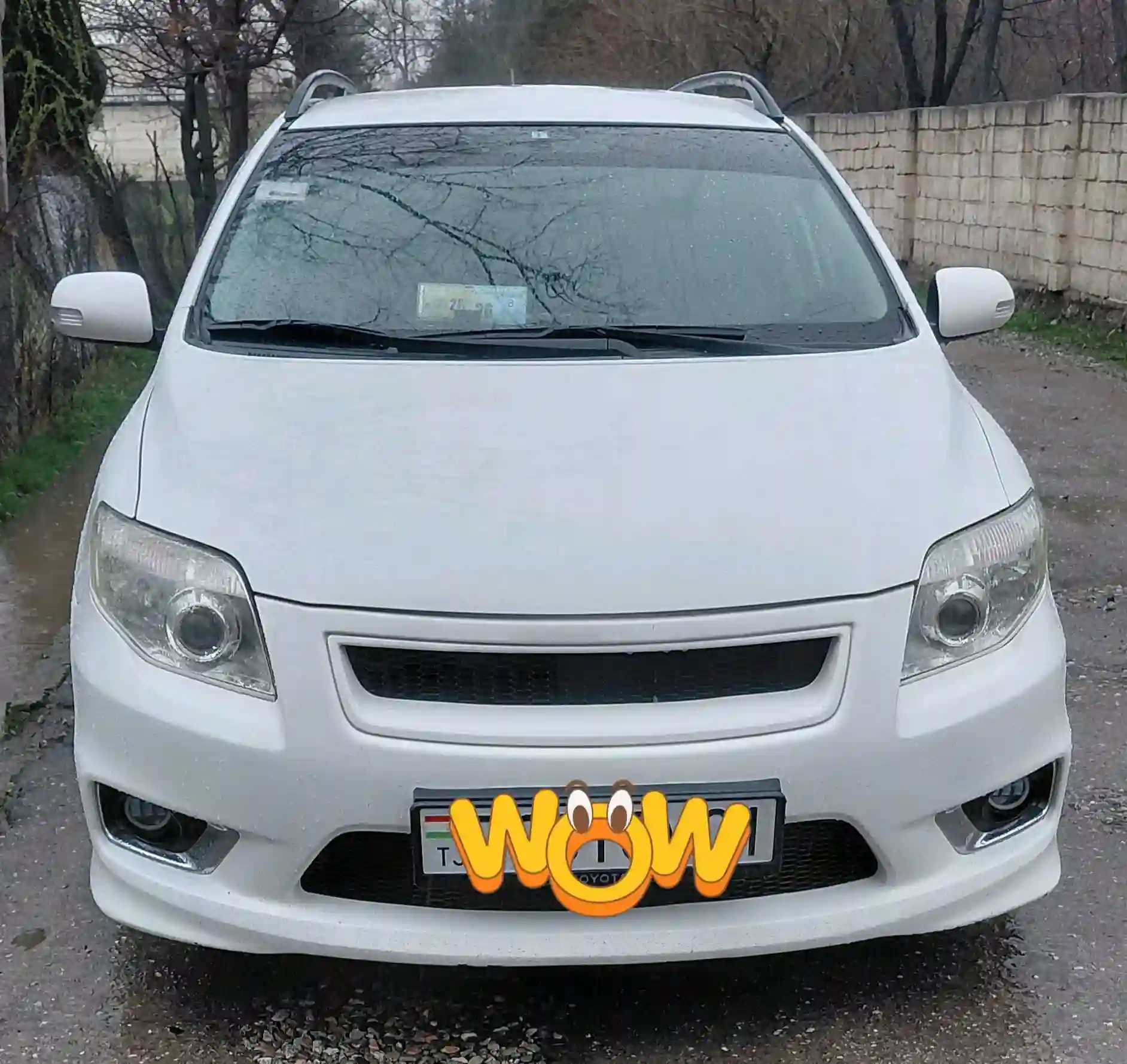 Toyota Fielder 2007