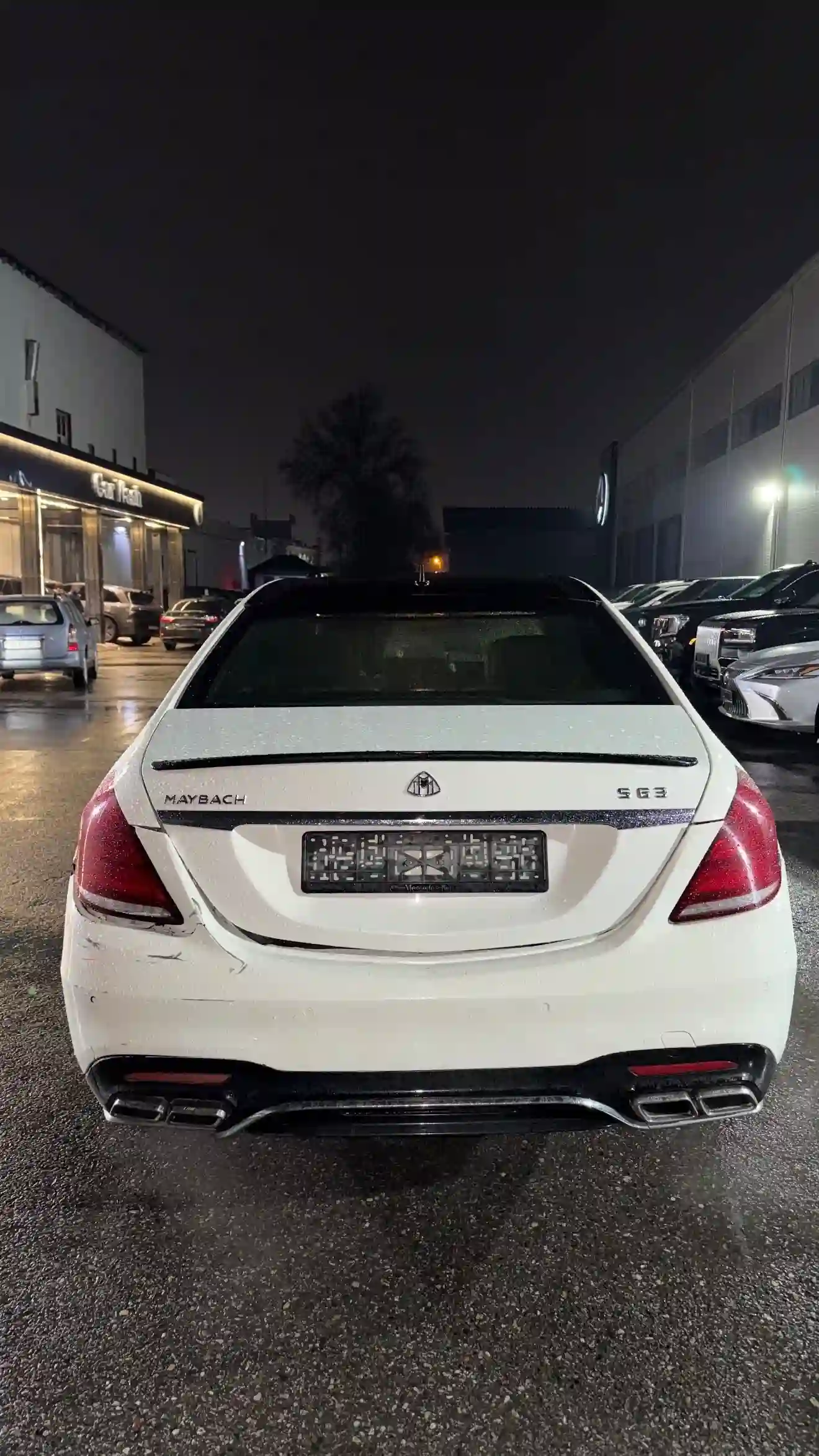 Mercedes-benz S class 2007