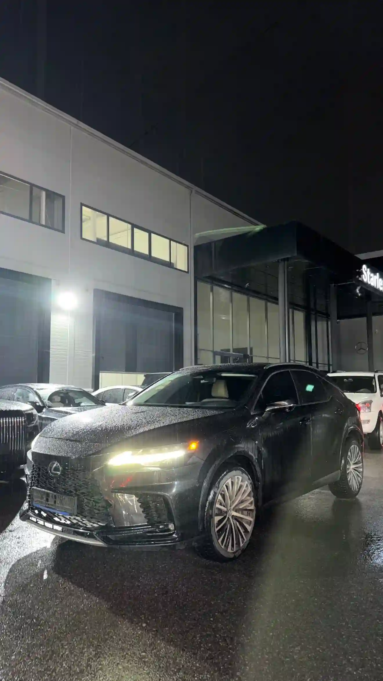 Lexus Rx series 2024 — миниатюра 2